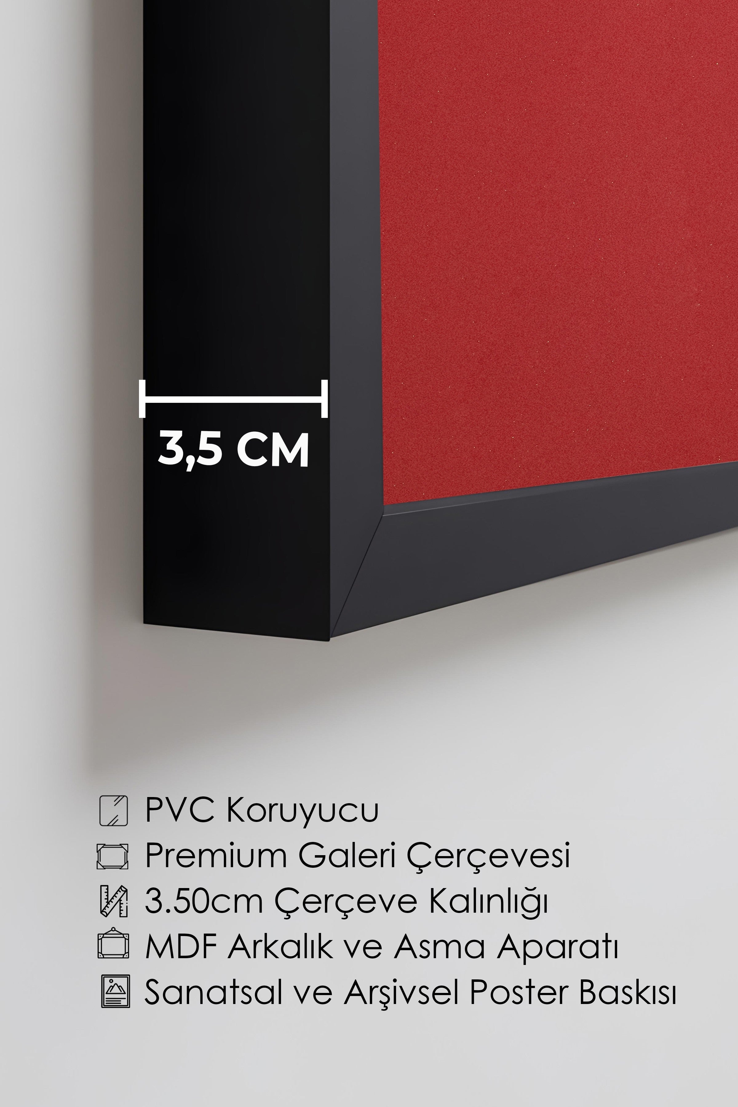 Duvar Tablosu, Lüks Siyah Çerçeveli Tablo ve Poster, Ritüel Serisi, Kuş Tablo, NO:115209