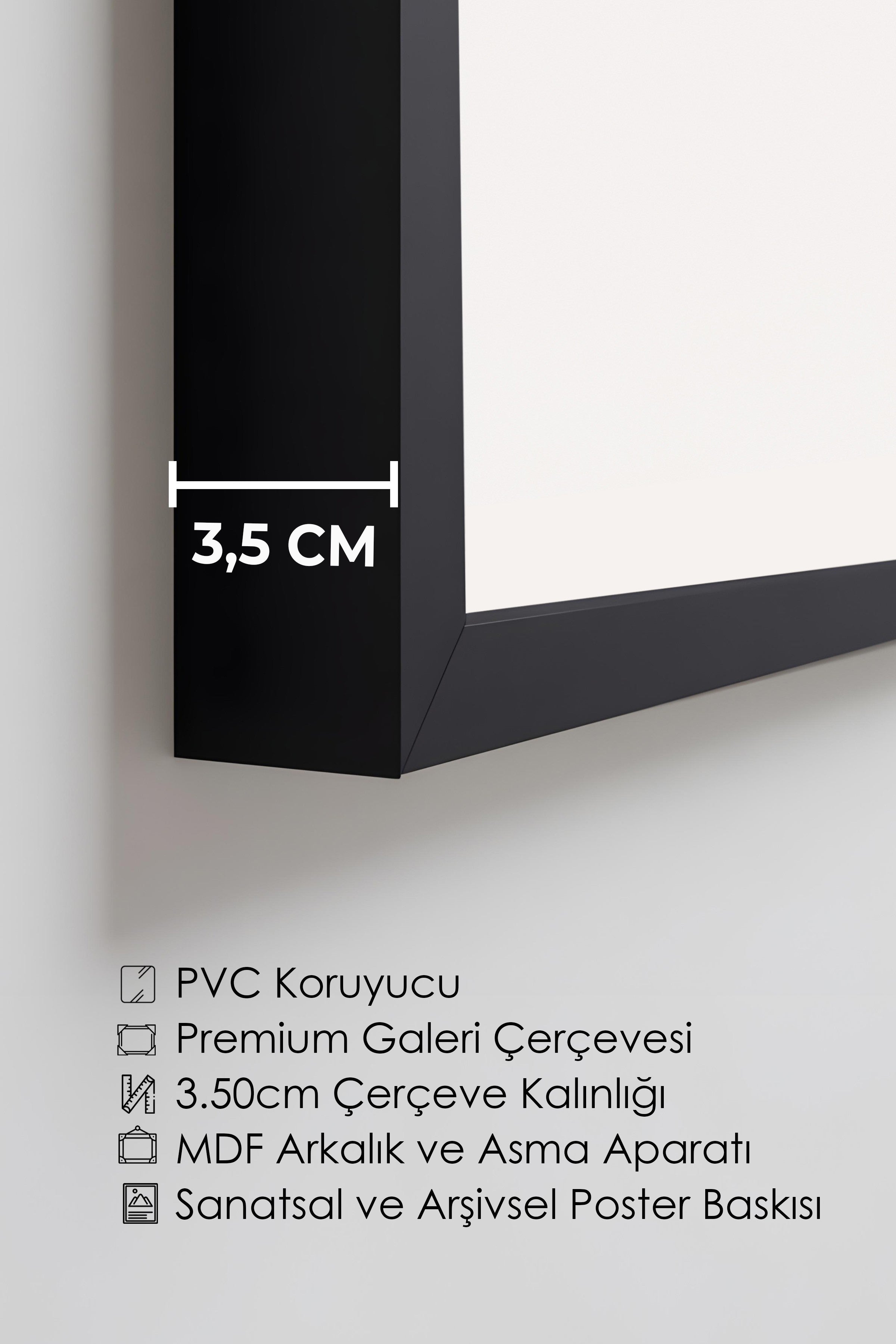 Duvar Tablosu, Lüks Siyah Çerçeveli Tablo ve Poster, Ritüel Serisi, Kuş Tablo, NO:115227