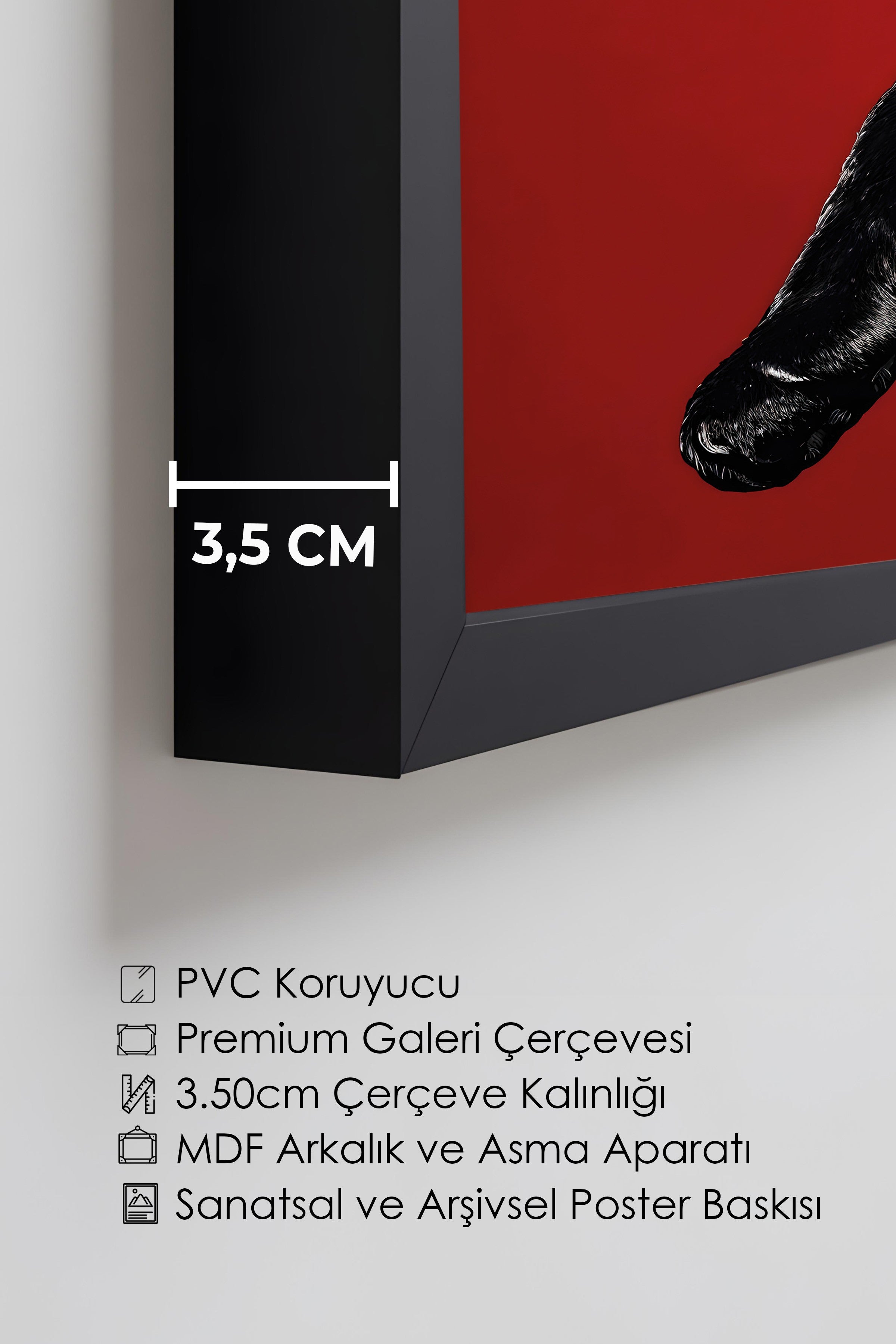 Duvar Tablosu, Lüks Siyah Çerçeveli Tablo ve Poster, Ritüel Serisi, Leopar Tablo, NO:115261