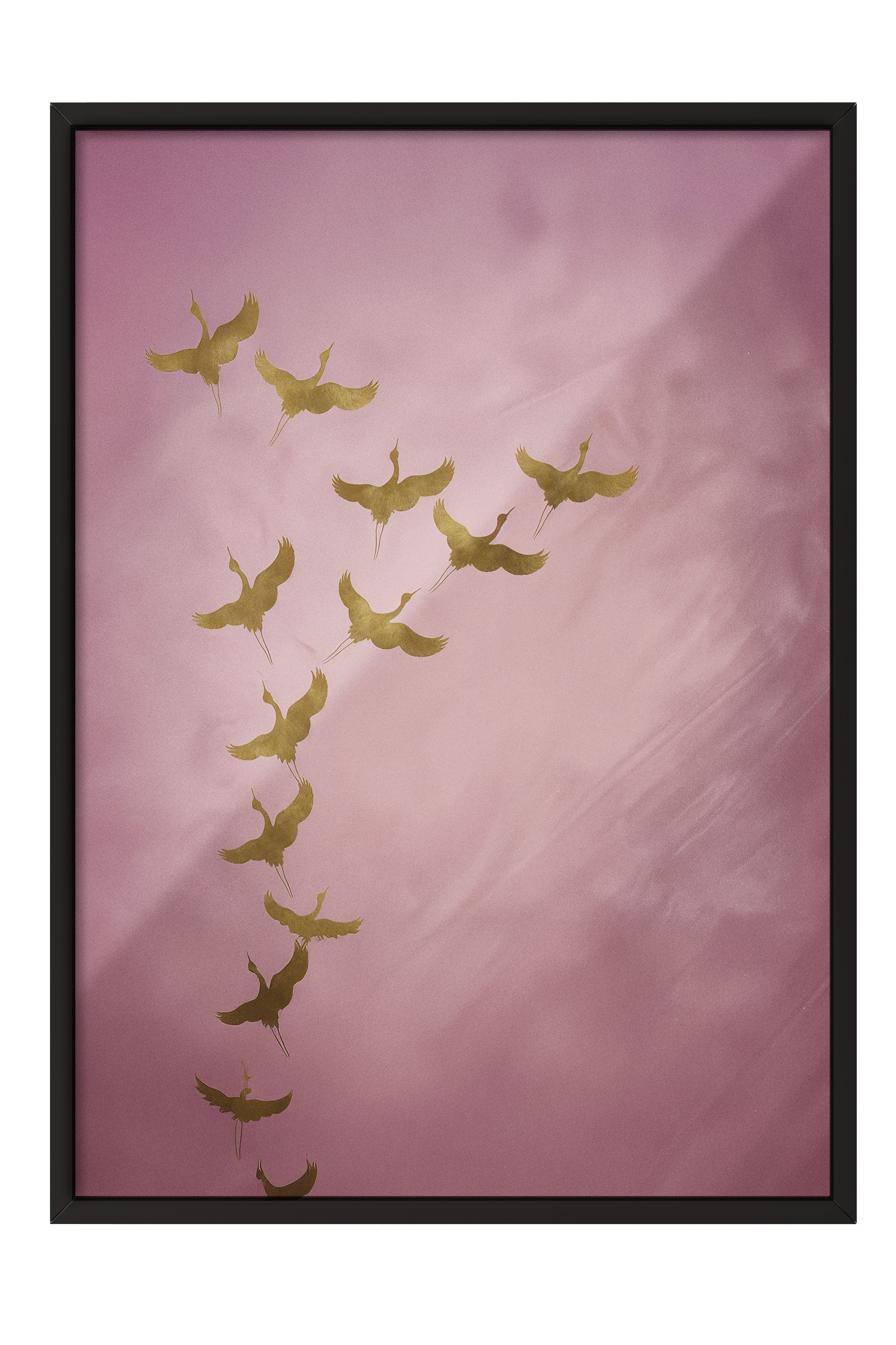 Duvar Tablosu, Siyah Çerçeveli Tablo ve Poster, Ritüel Serisi, Kuş Tablo, NO:115206