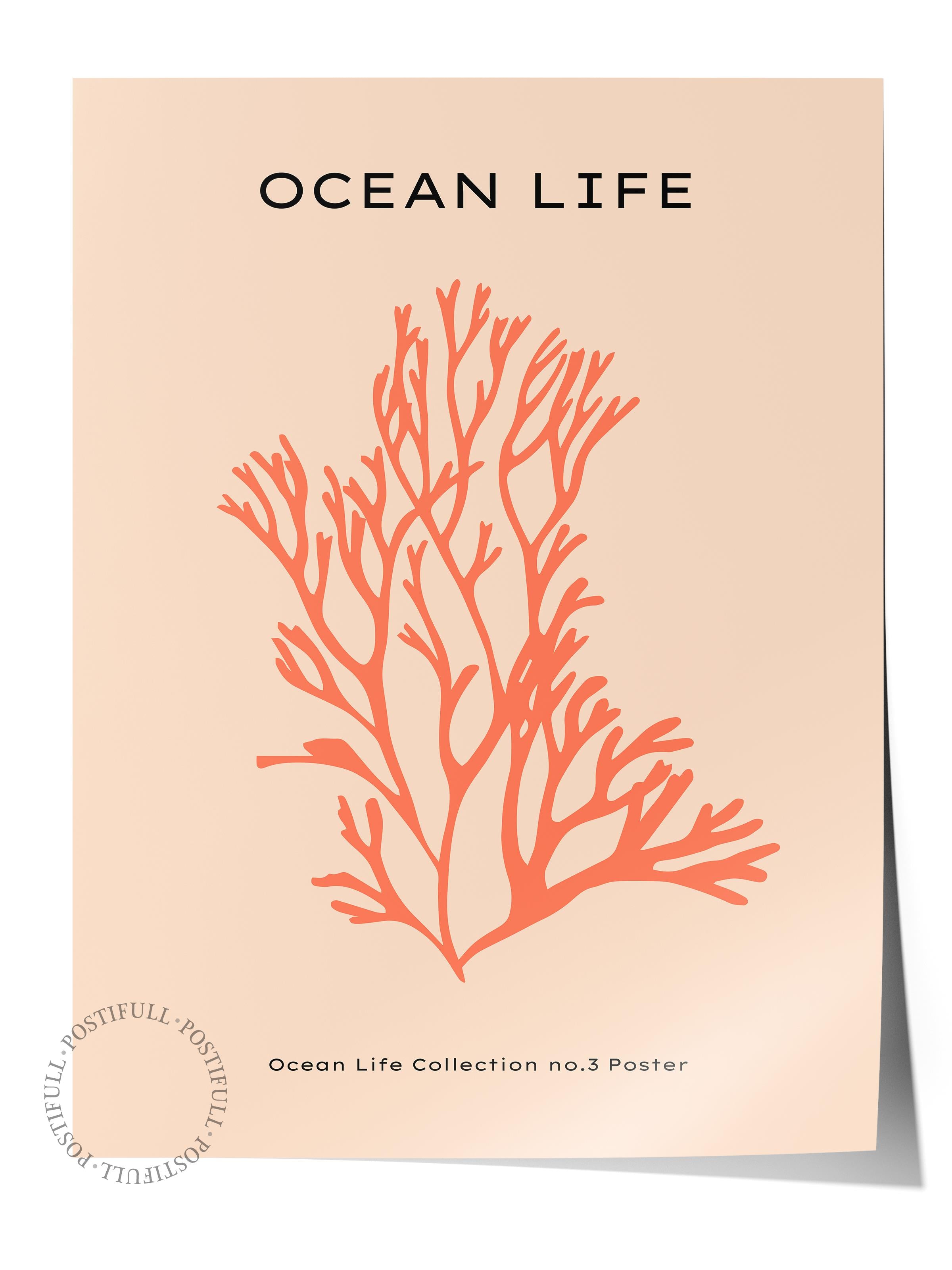 Estetik Duvar Posteri - Estetik Çizim Çerçevesiz Poster - Yatak Odası, Salon, Mutfak Duvar Dekoru