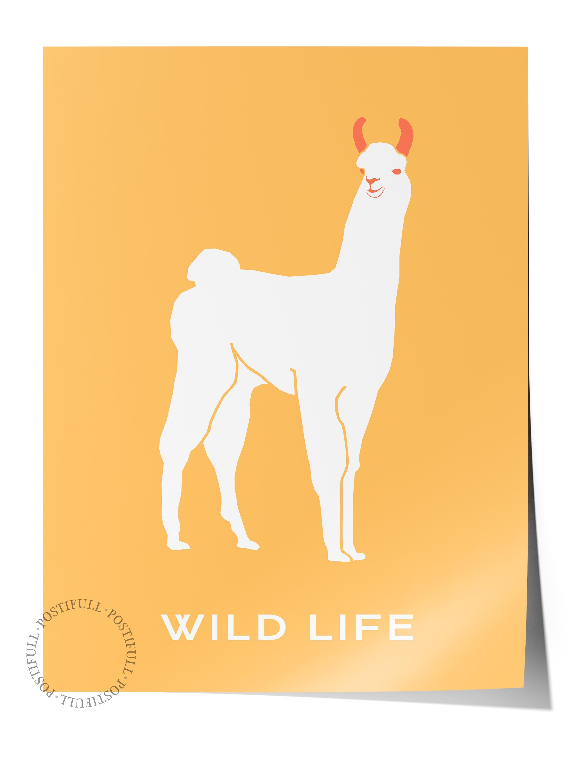 Estetik Duvar Posteri - Estetik Çizim Çerçevesiz Poster - Yatak Odası, Salon, Mutfak Duvar Dekoru