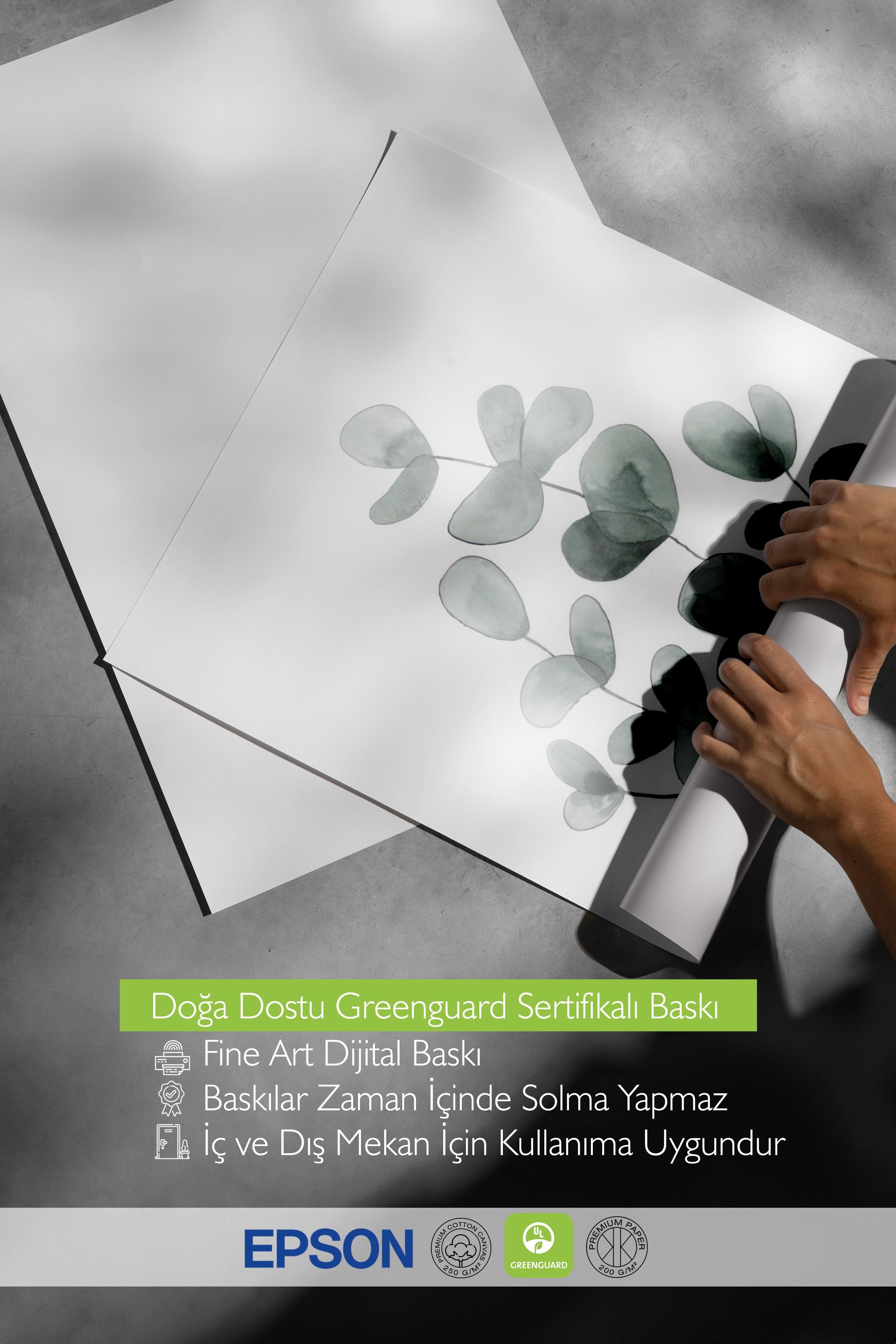 Eucalyptus No1 Poster, Çerçevesiz Duvar Posteri, Dikey Duvar Tablosu Comfort Serisi NO:108454