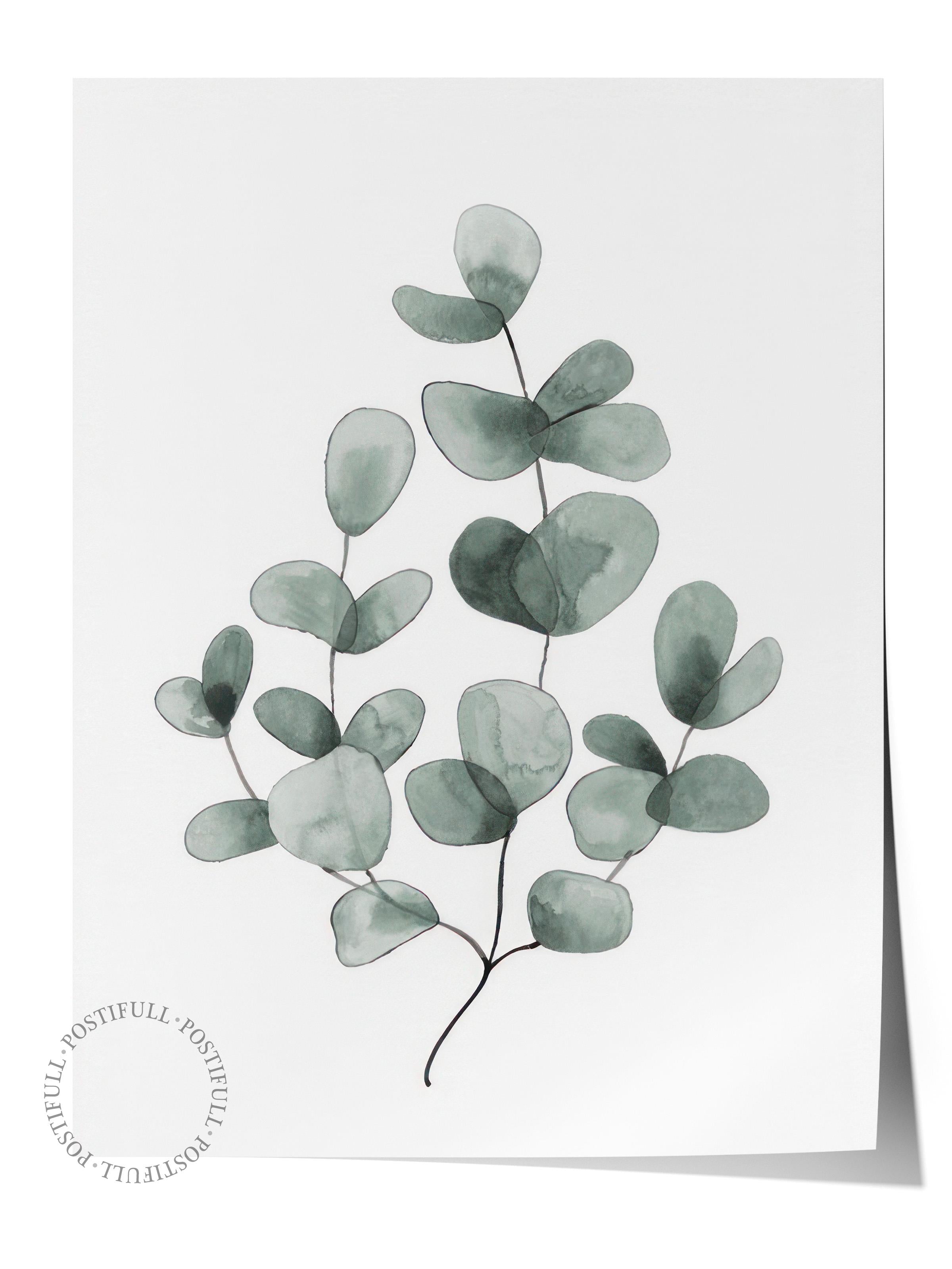 Eucalyptus No1 Poster, Çerçevesiz Duvar Posteri, Dikey Duvar Tablosu Comfort Serisi NO:108454