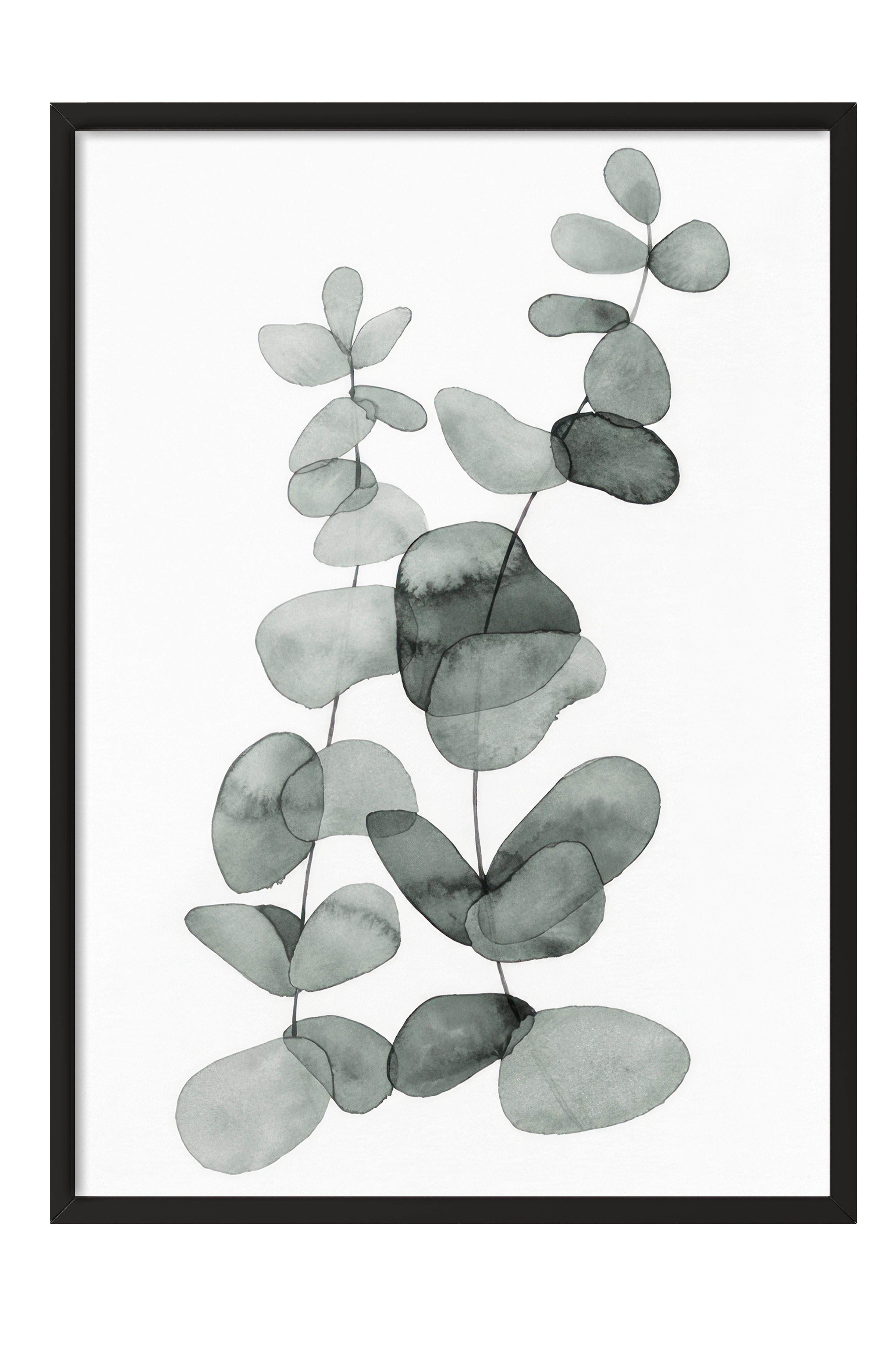 Eucalyptus No2 Çerçeveli Tablo, Siyah Çerçeve ve Poster, Duvar Tablosu Comfort Serisi NO:108455