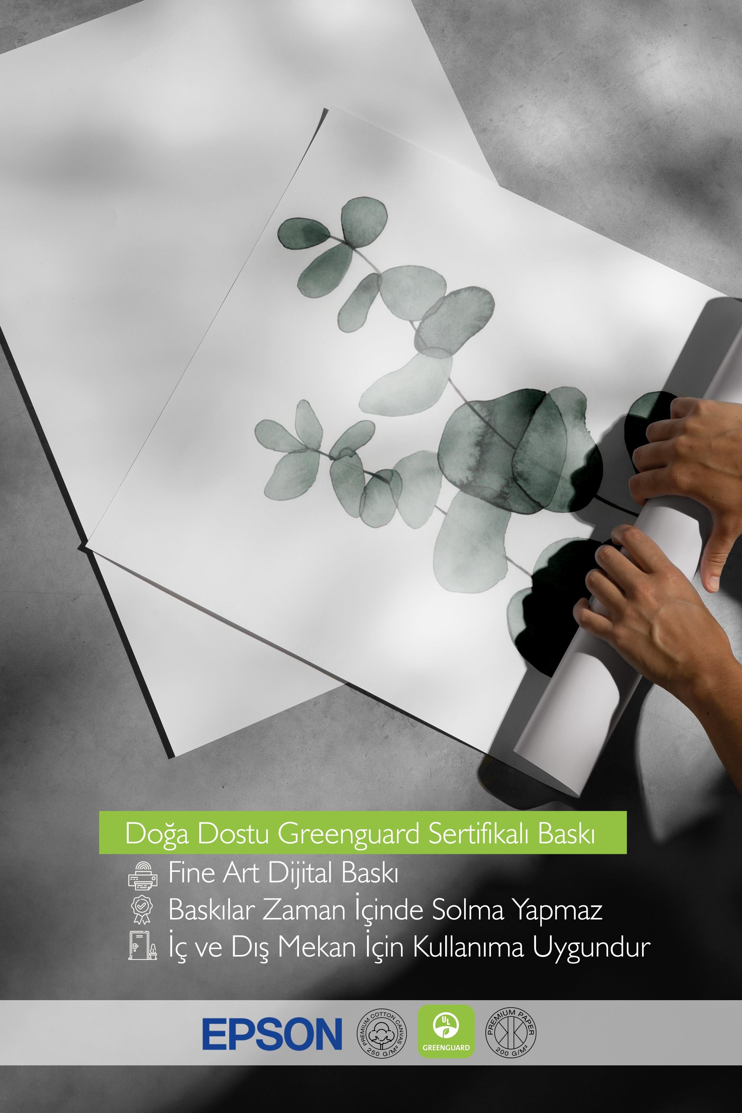 Eucalyptus No2  Poster, Çerçevesiz Duvar Posteri, Dikey Duvar Tablosu Comfort Serisi NO:108455