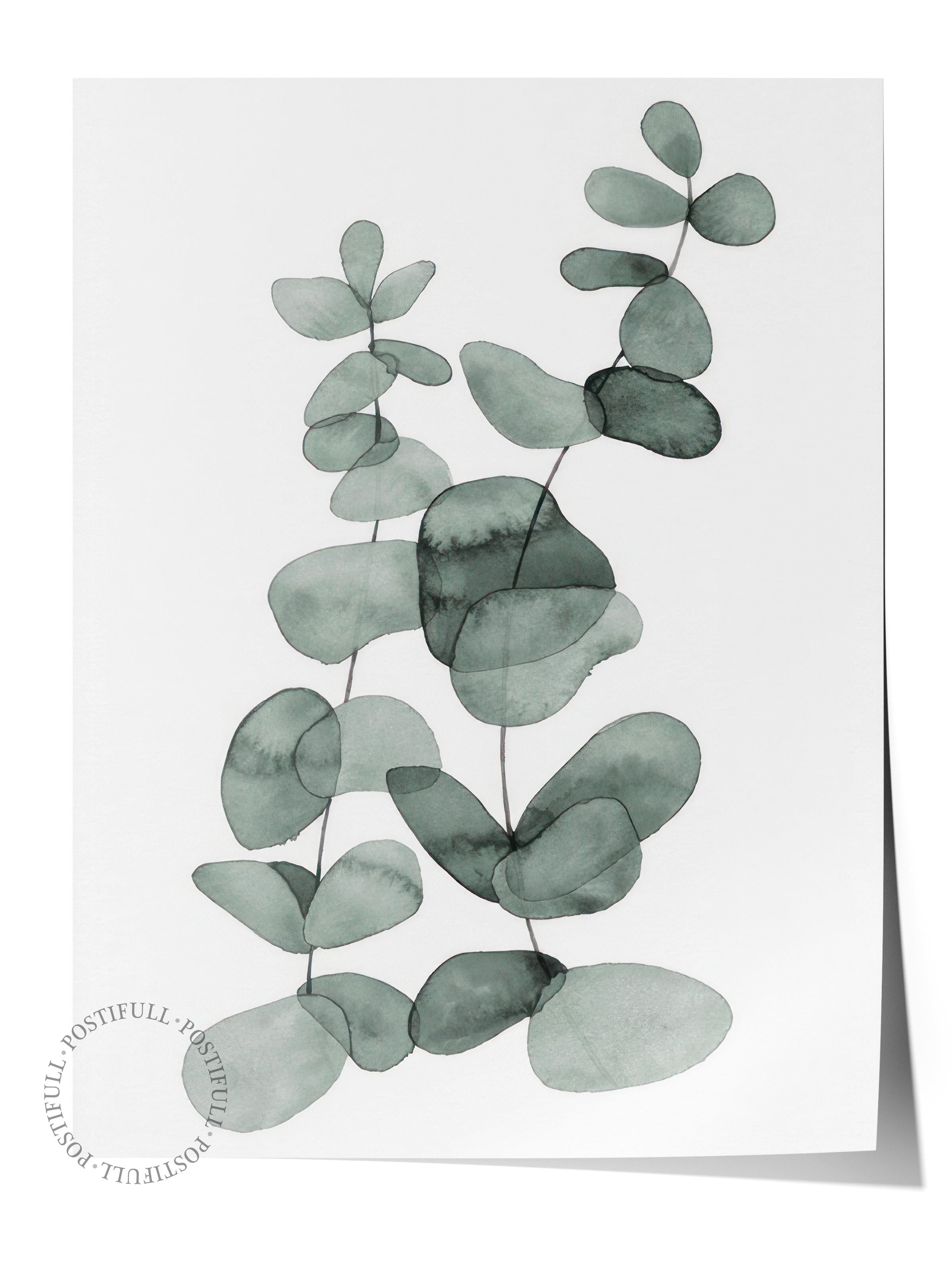 Eucalyptus No2  Poster, Çerçevesiz Duvar Posteri, Dikey Duvar Tablosu Comfort Serisi NO:108455