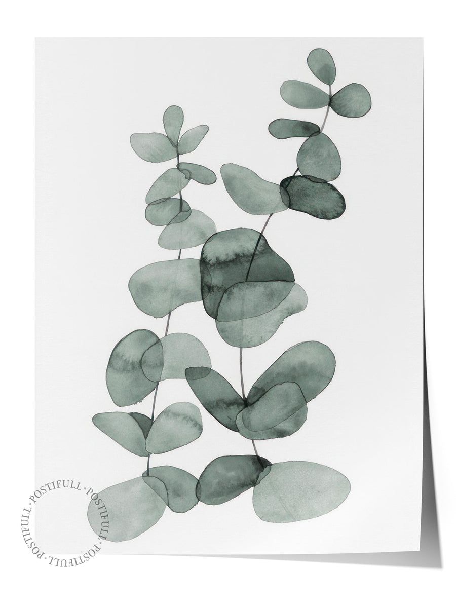 Eucalyptus Yaprakları Comfort Serisi Çerçevesiz Poster