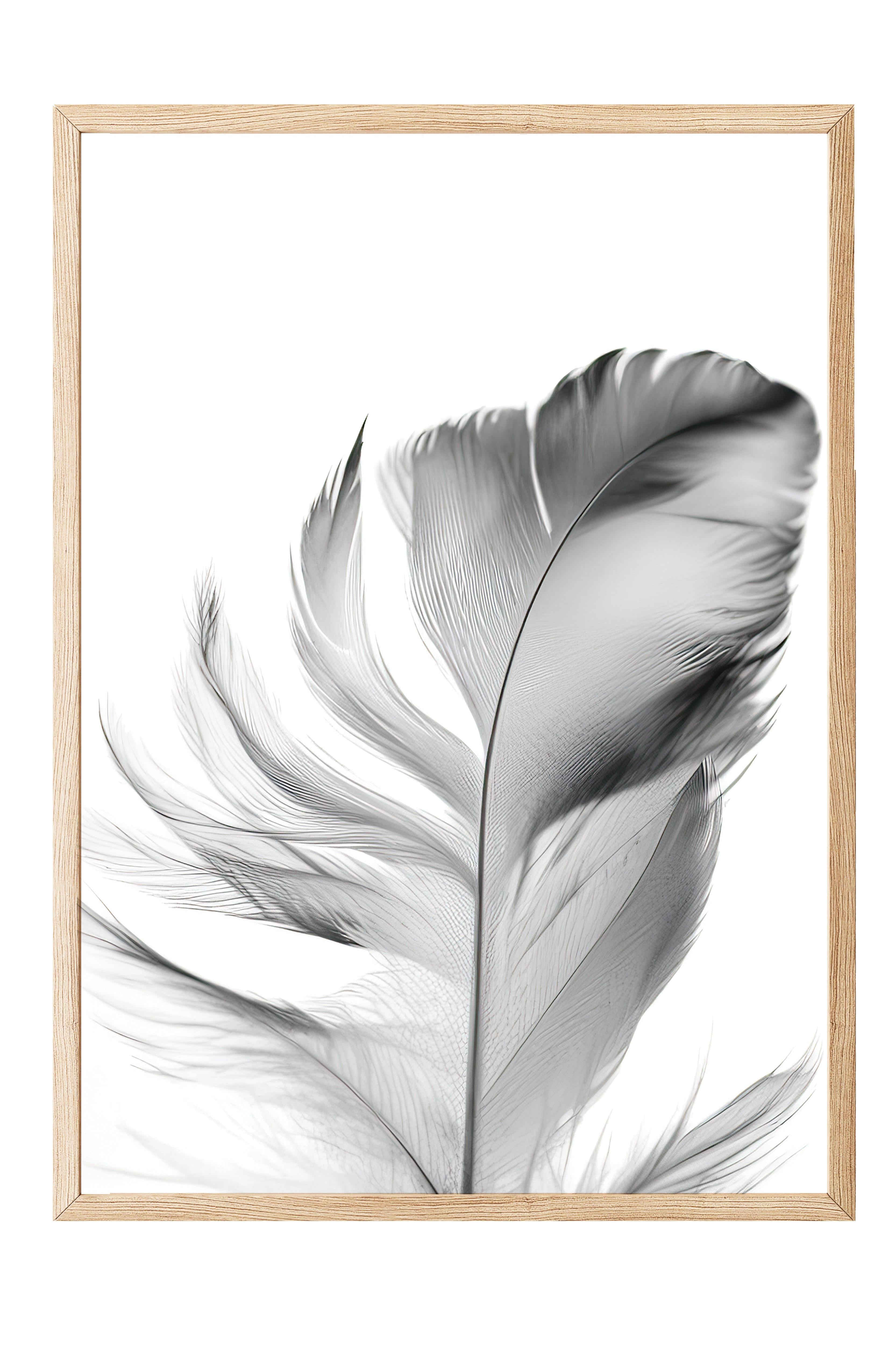 Feather Çerçeveli Tablo, Ahşap Çerçeve ve Poster, Dikey Duvar Tablosu Comfort Serisi NO:108302