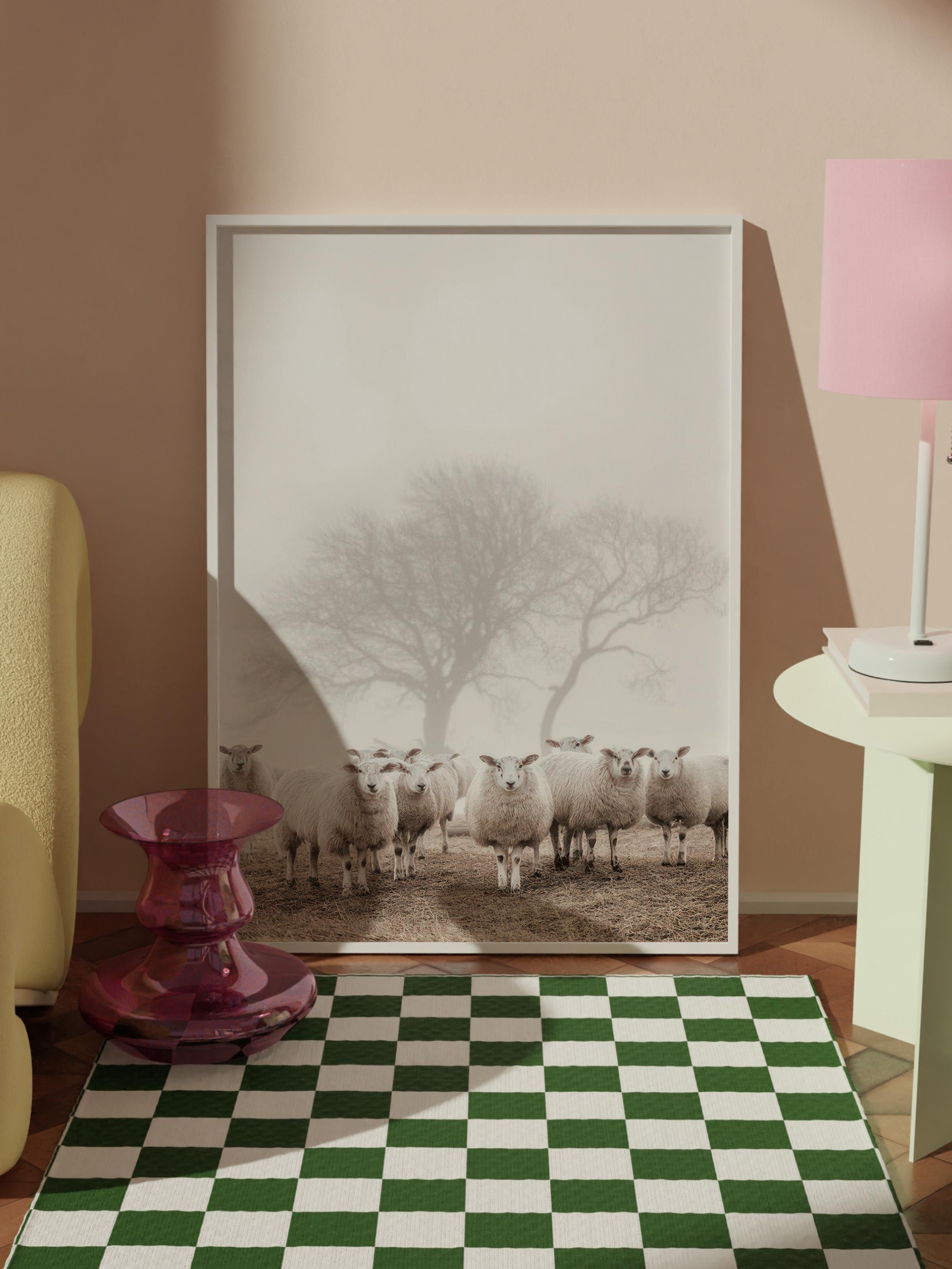 Flock of Sheep Çerçeveli Tablo, Beyaz Çerçeve ve Poster, Duvar Tablosu Comfort Serisi NO:108505