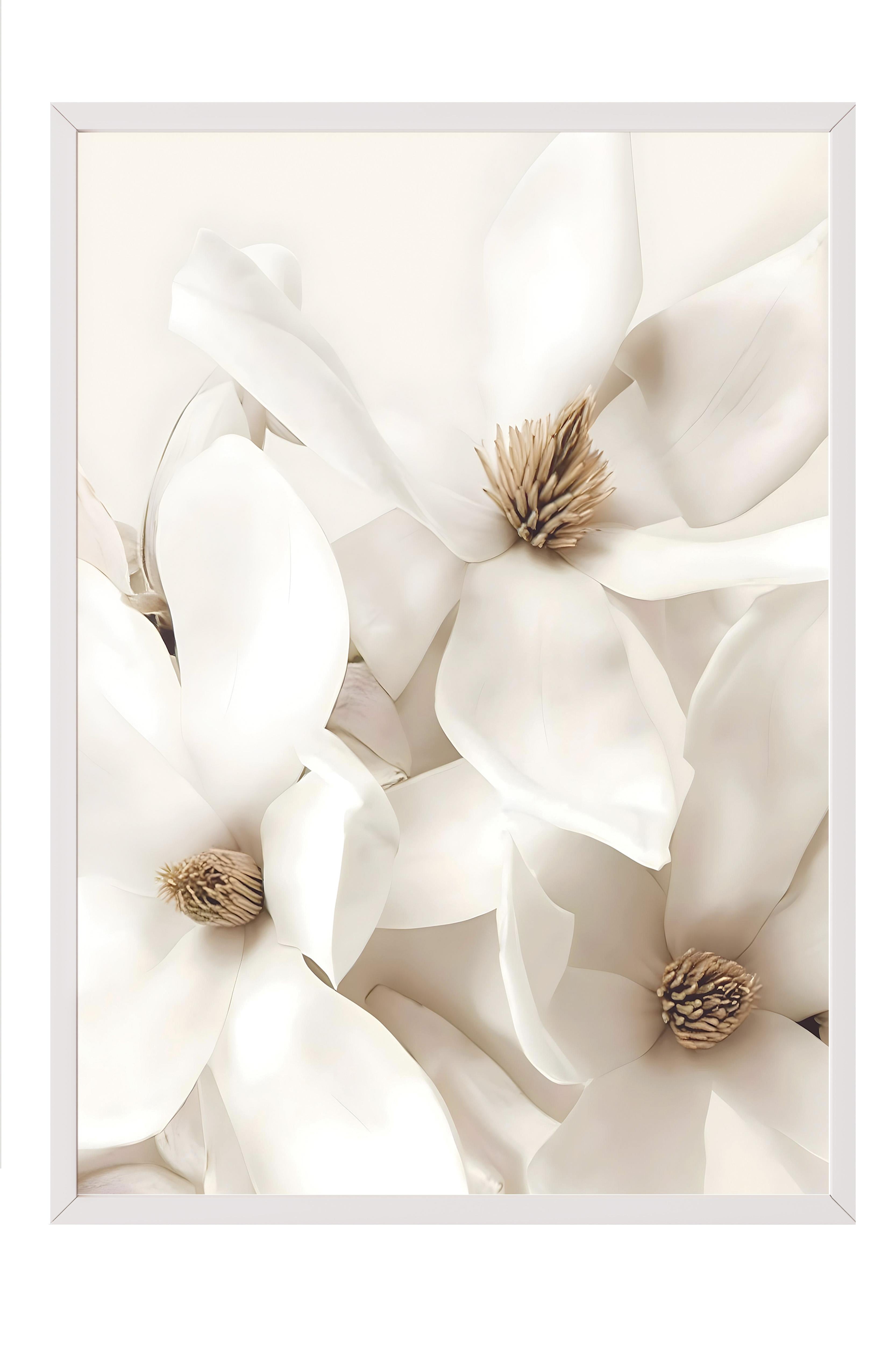 Flowering Magnolia Çerçeveli Tablo, Beyaz Çerçeve ve Poster, Duvar Tablosu Comfort Serisi NO:108416