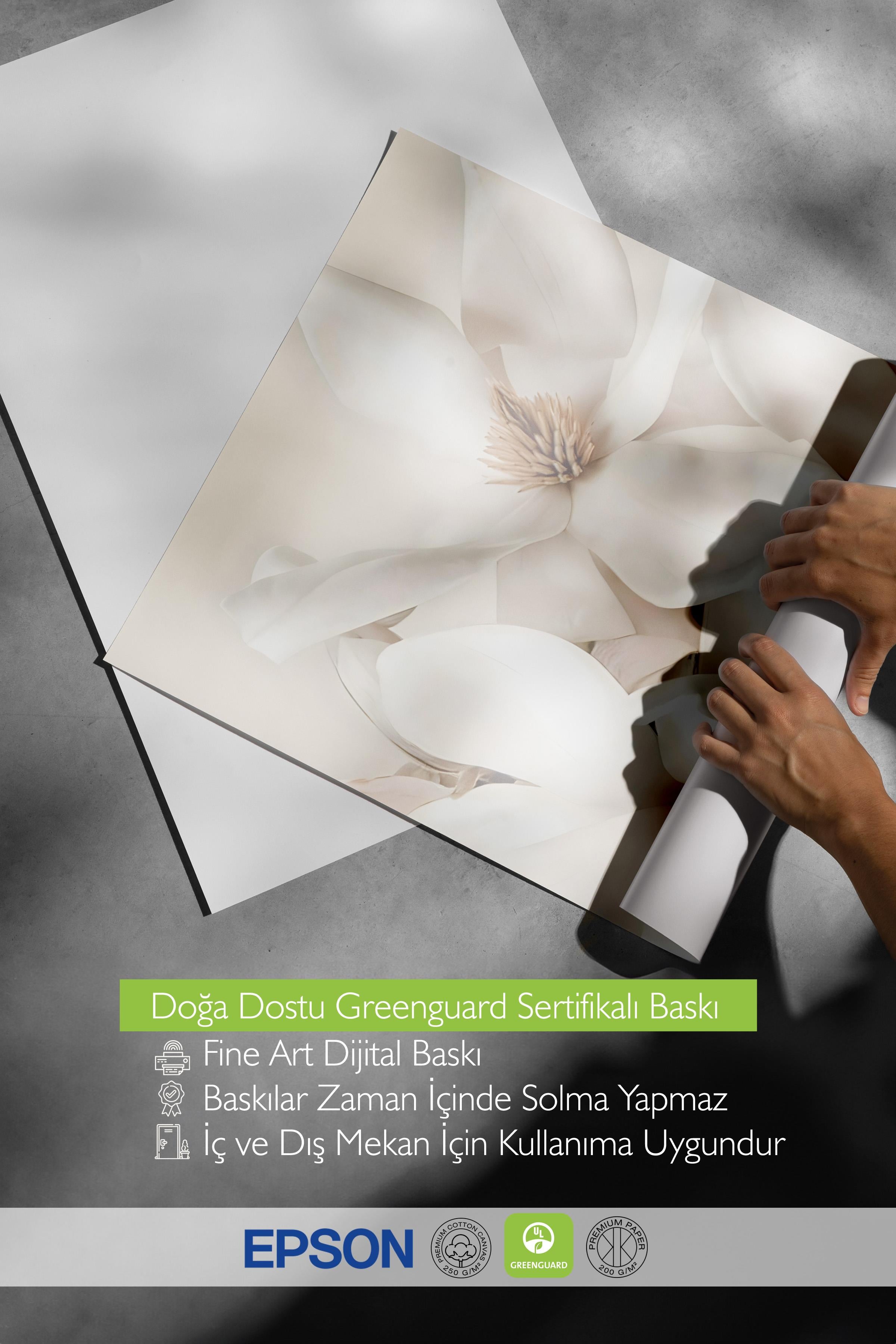 Flowering Magnolia Poster, Çerçevesiz Duvar Posteri, Dikey Duvar Tablosu Comfort Serisi NO:108416