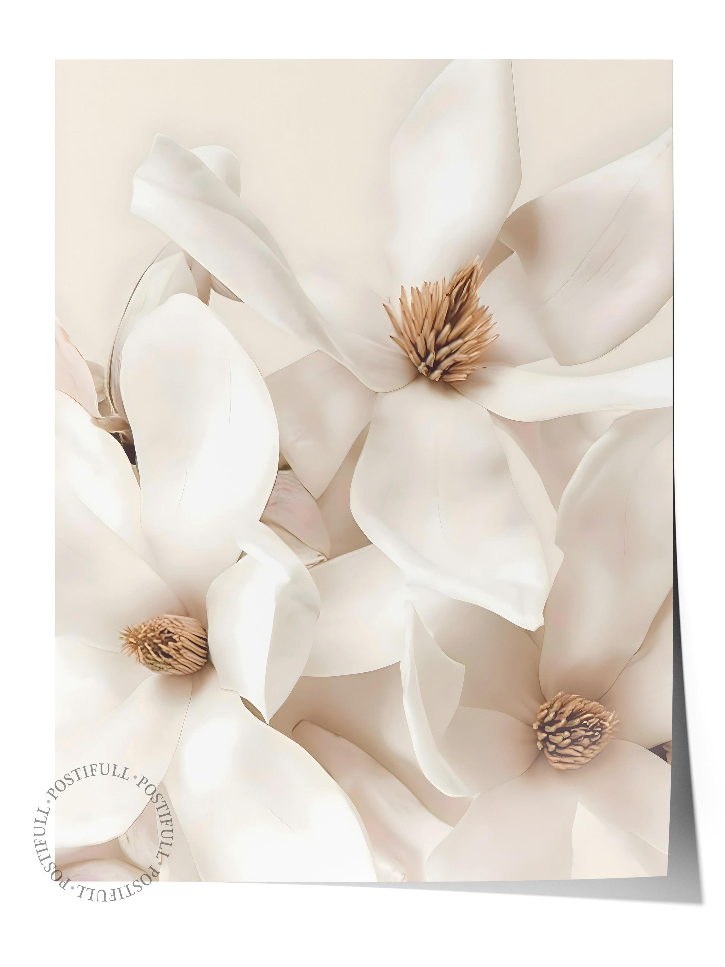 Flowering Magnolia Poster, Çerçevesiz Duvar Posteri, Dikey Duvar Tablosu Comfort Serisi NO:108416