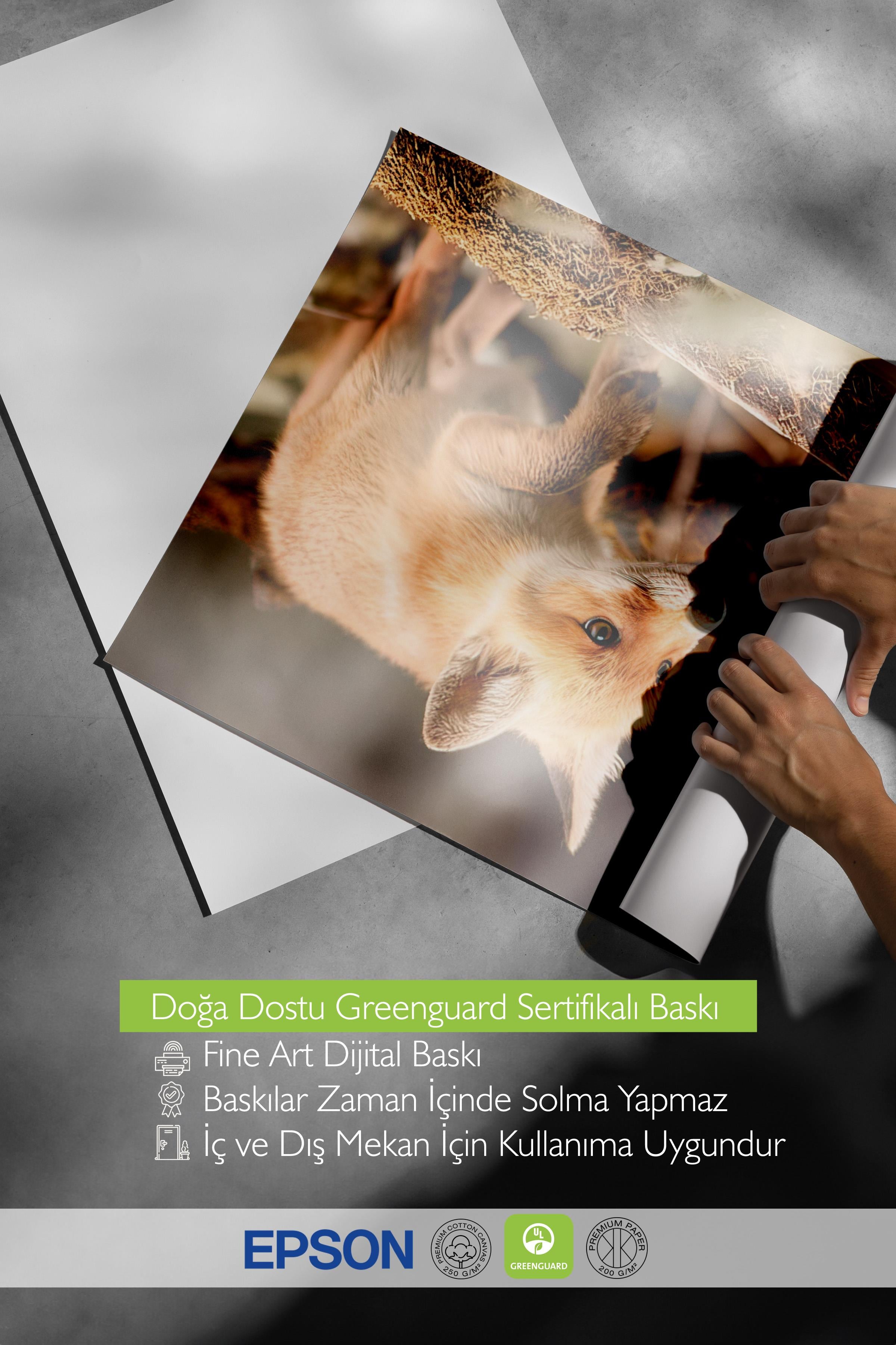 Forest Fox Poster, Çerçevesiz Duvar Posteri, Yatay Duvar Tablosu Comfort Serisi NO:108349