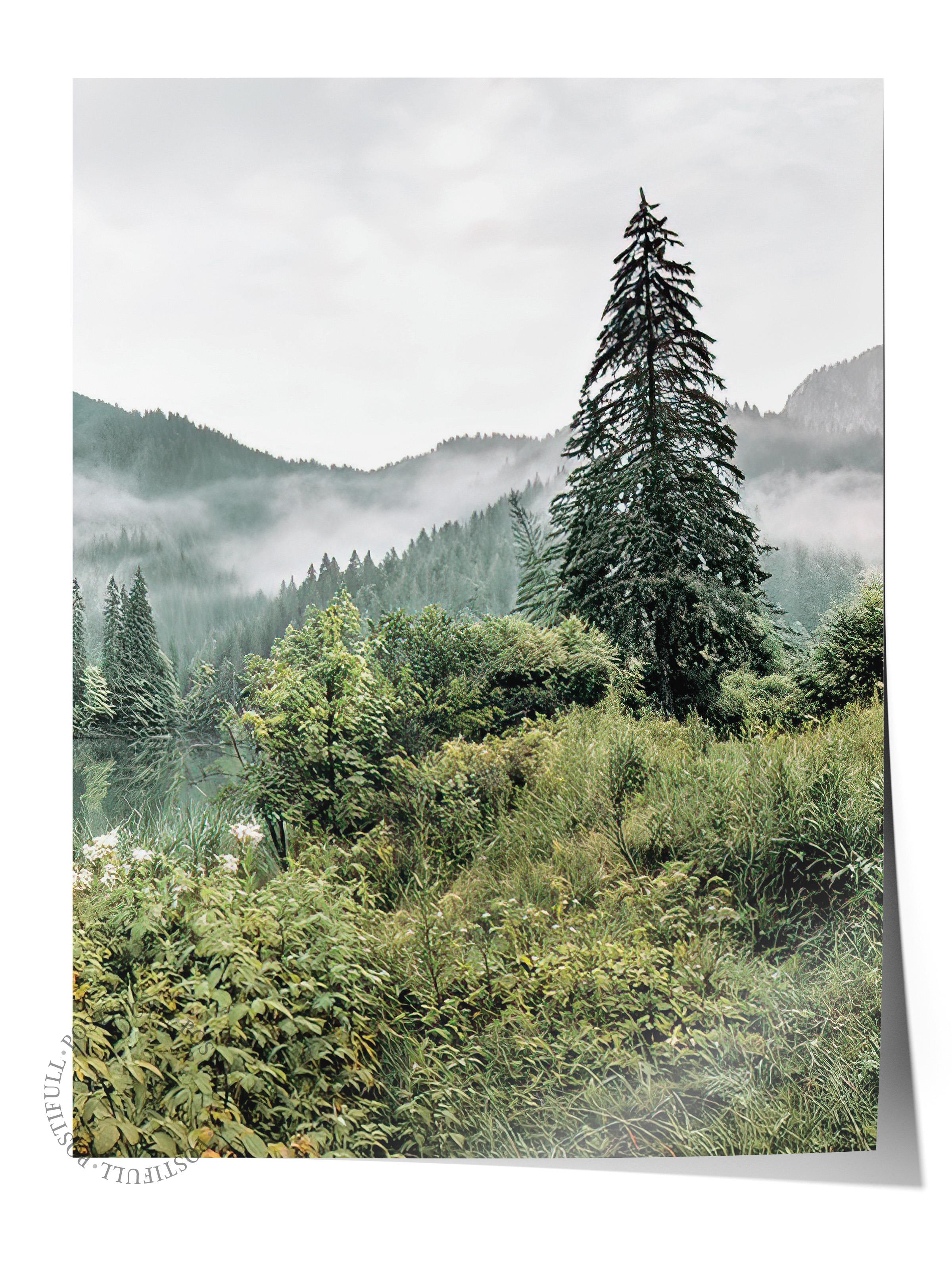 Forest Landscape No2 Poster, Dikey Duvar Tablosu Comfort Serisi NO:108398