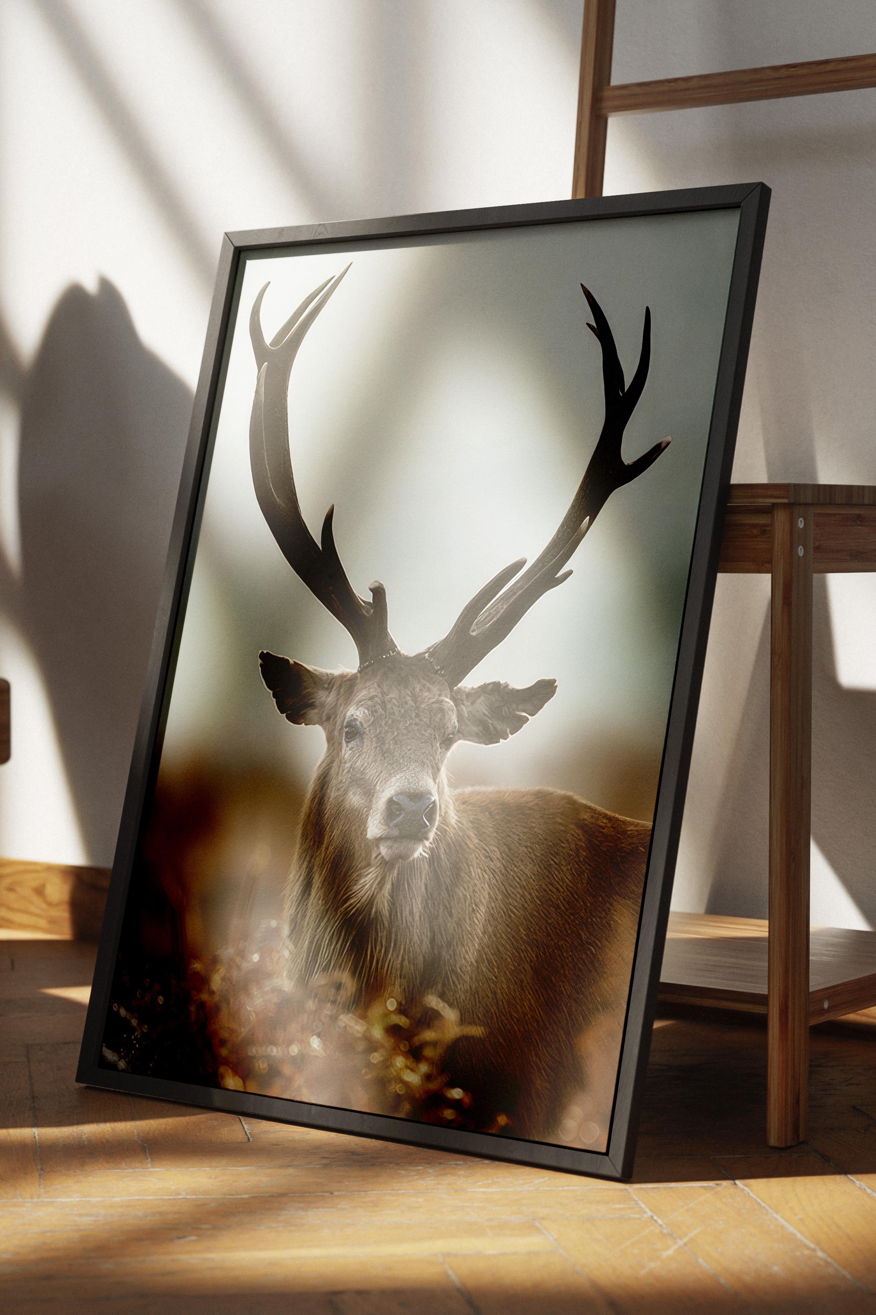 Forest Stag Çerçeveli Tablo, Siyah Çerçeve ve Poster, Dikey Duvar Tablosu Comfort Serisi NO:108443