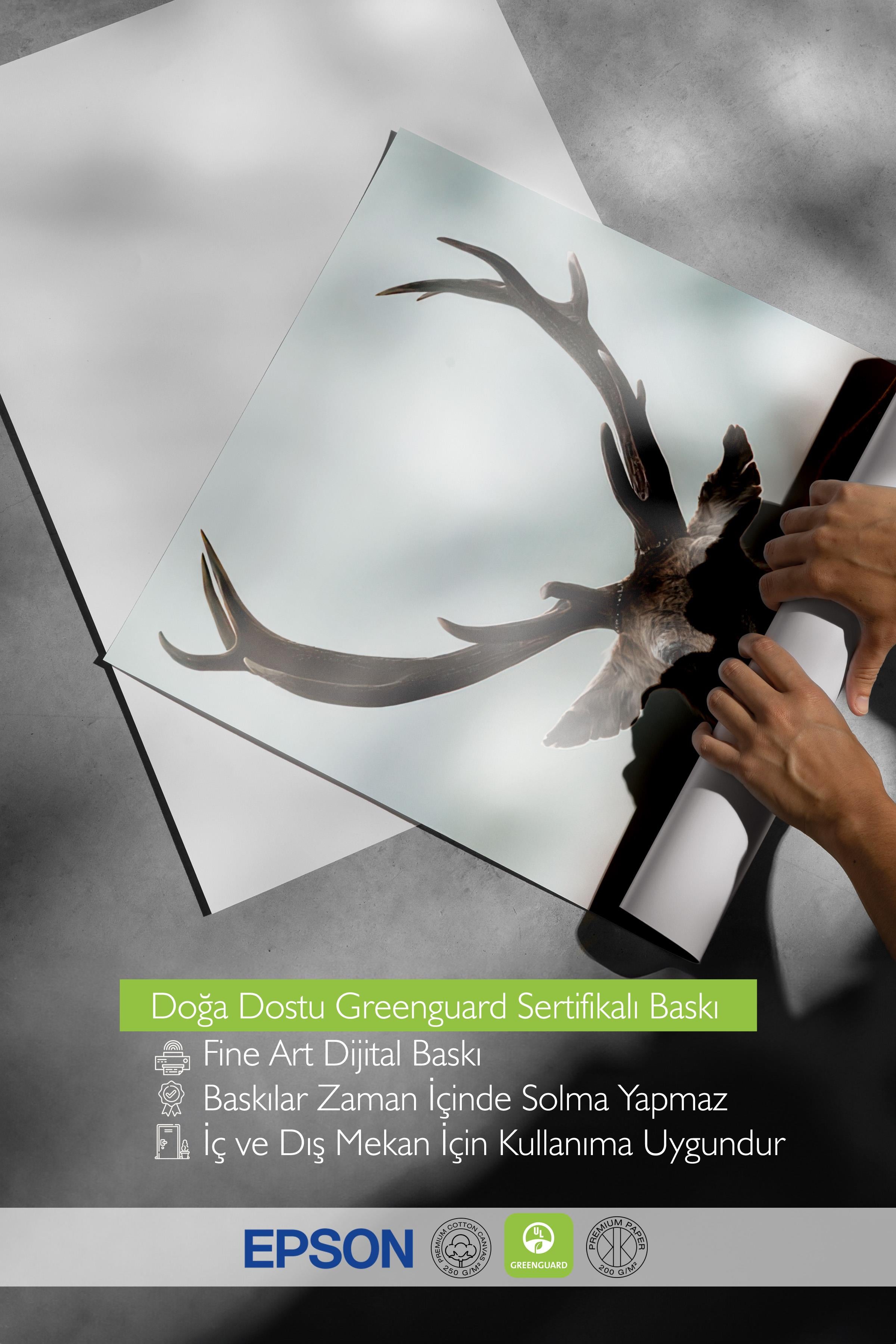 Forest Stag Poster, Çerçevesiz Duvar Posteri, Dikey Duvar Tablosu Comfort Serisi NO:108443