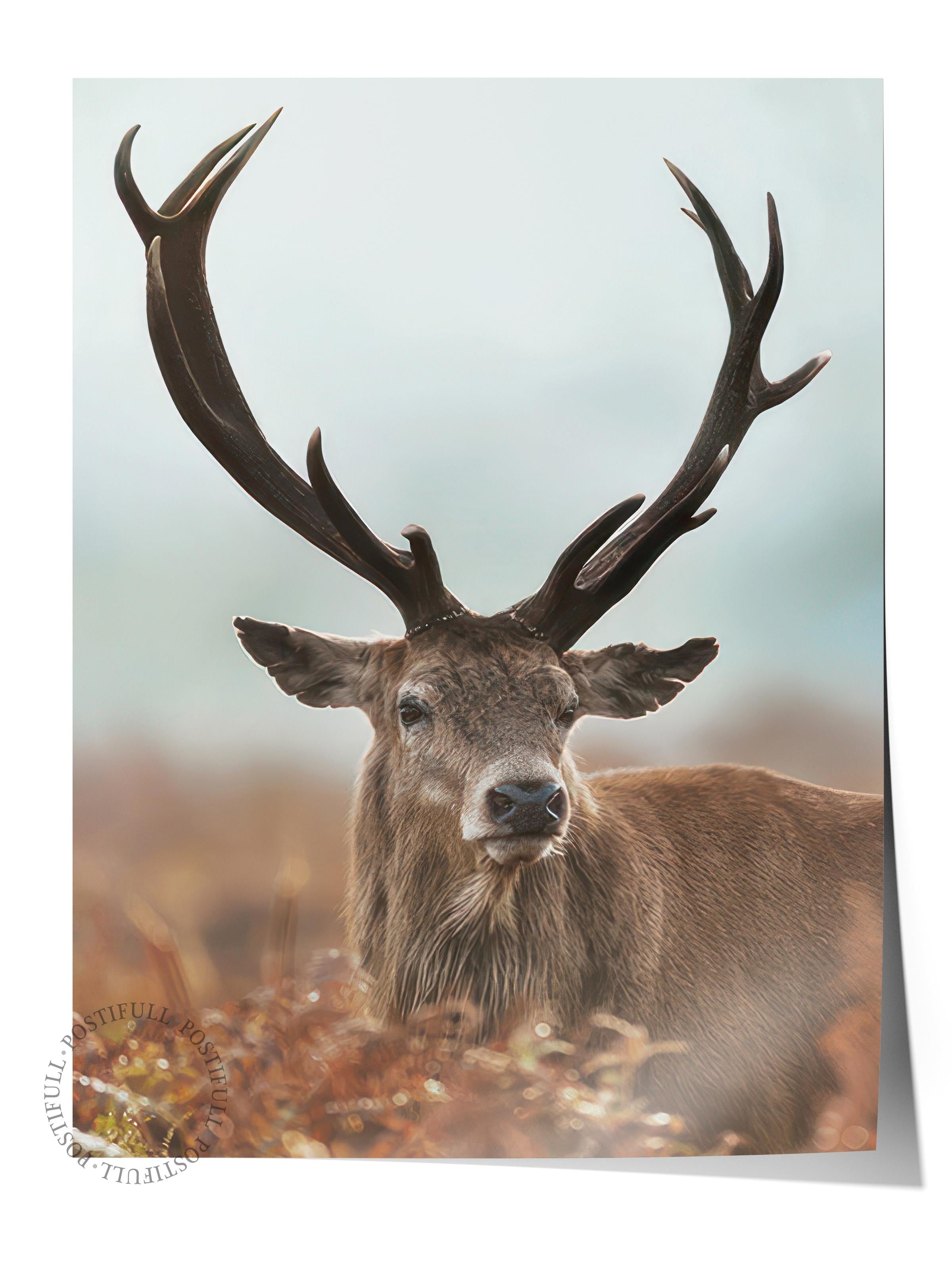 Forest Stag Poster, Çerçevesiz Duvar Posteri, Dikey Duvar Tablosu Comfort Serisi NO:108443