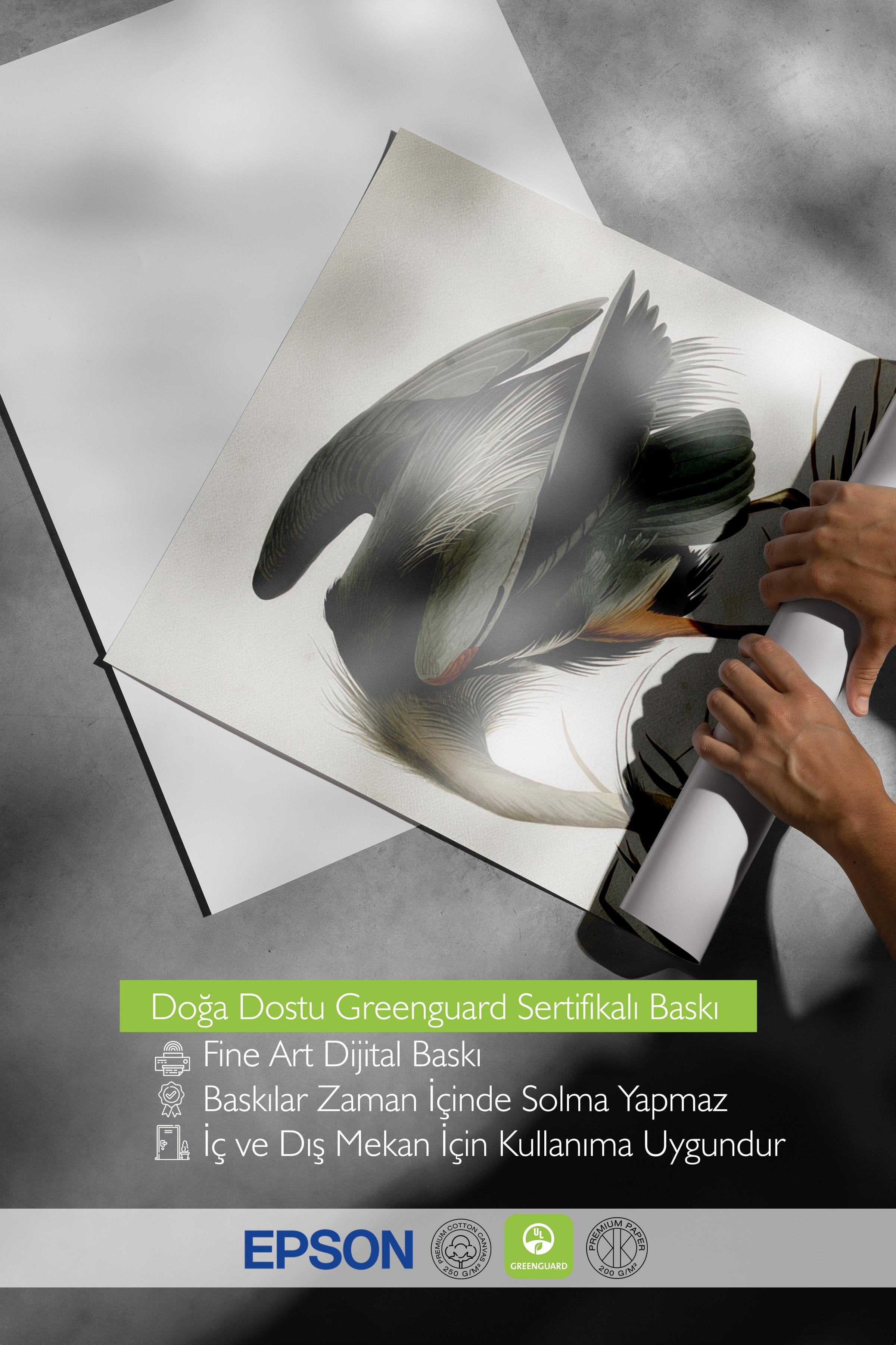 Great Heron Poster, Çerçevesiz Duvar Posteri, Dikey Duvar Tablosu Comfort Serisi NO:108502