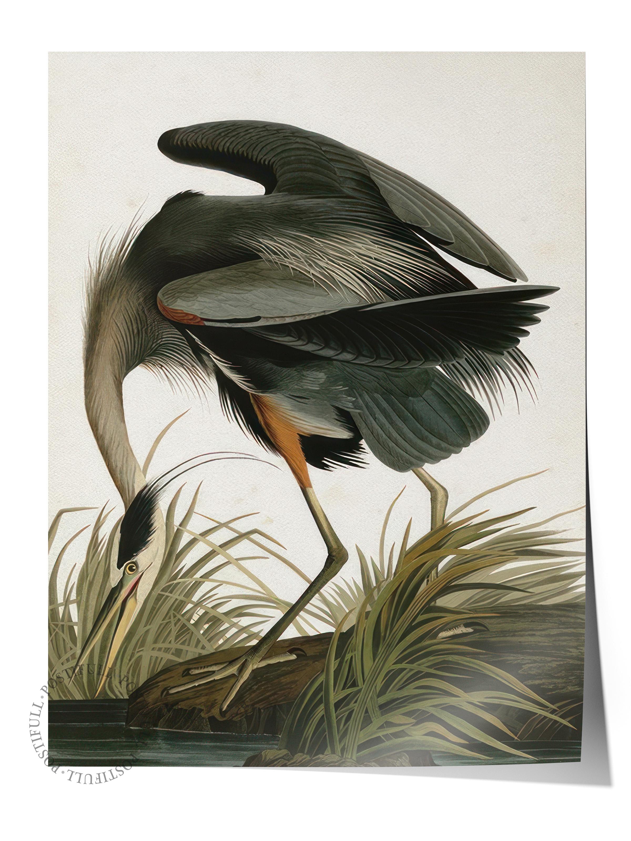 Great Heron Poster, Çerçevesiz Duvar Posteri, Dikey Duvar Tablosu Comfort Serisi NO:108502