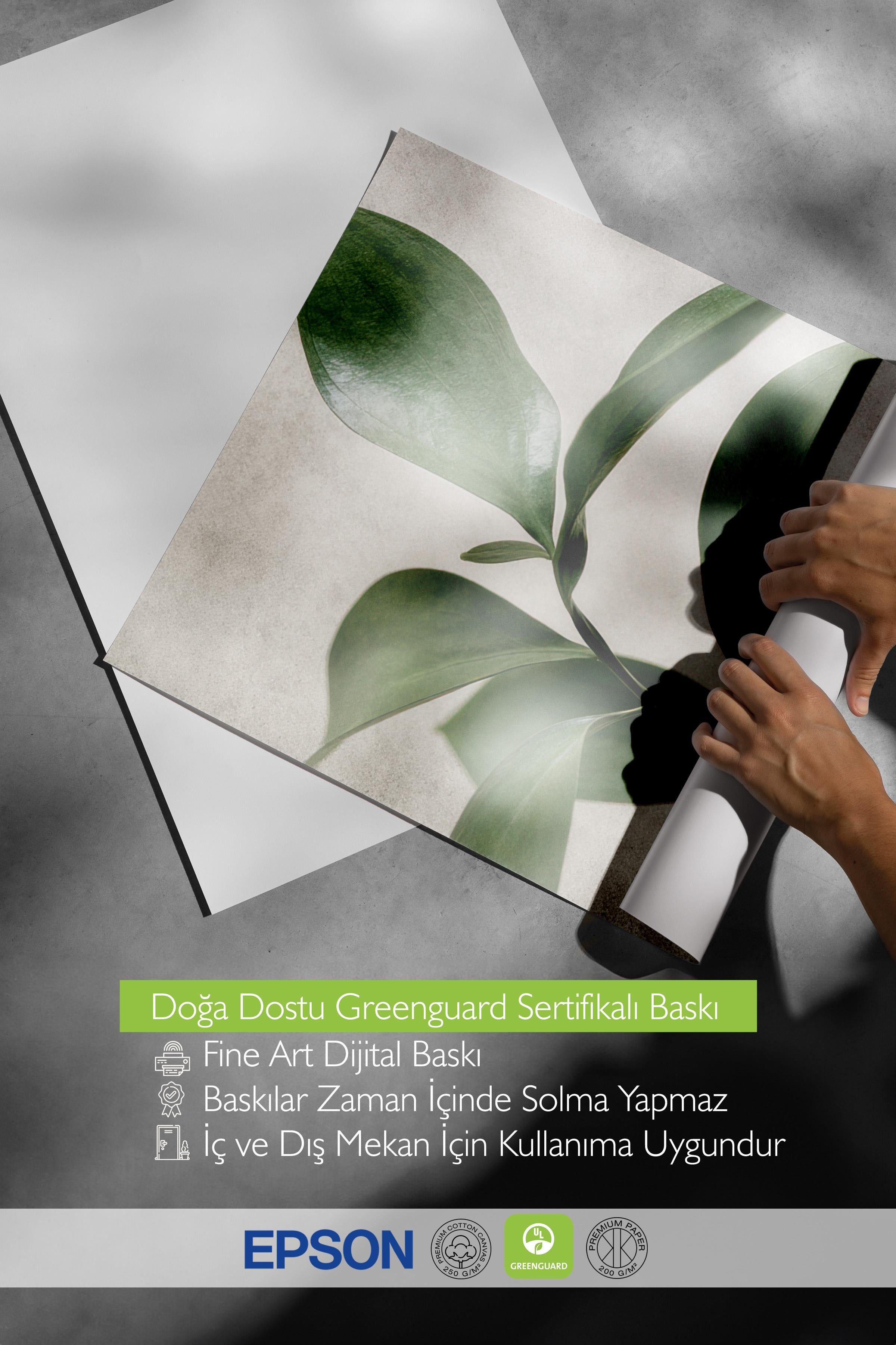 Green Botanical Poster, Çerçevesiz Duvar Posteri, Dikey Duvar Tablosu Comfort Serisi NO:108467