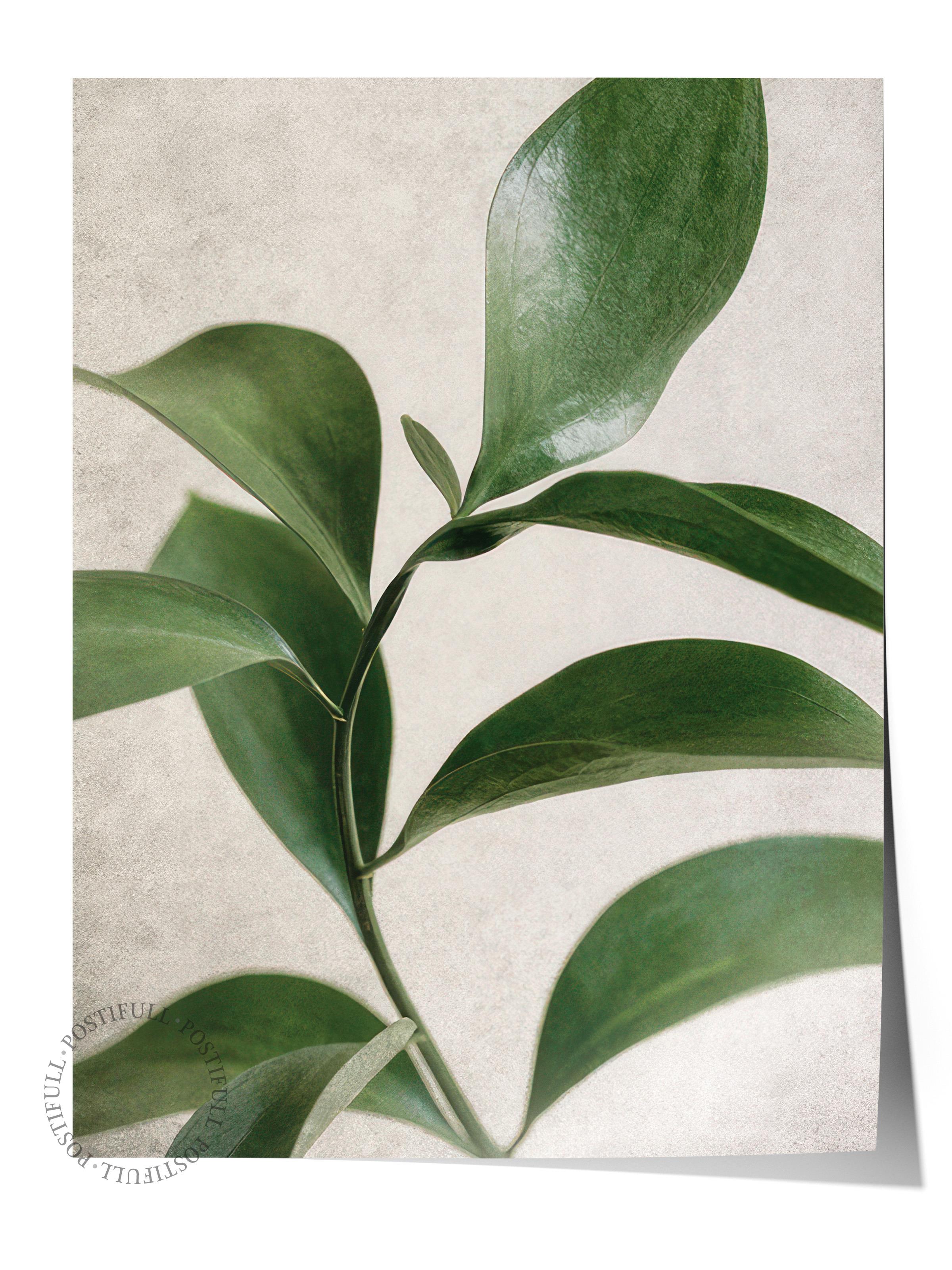 Green Botanical Poster, Çerçevesiz Duvar Posteri, Dikey Duvar Tablosu Comfort Serisi NO:108467