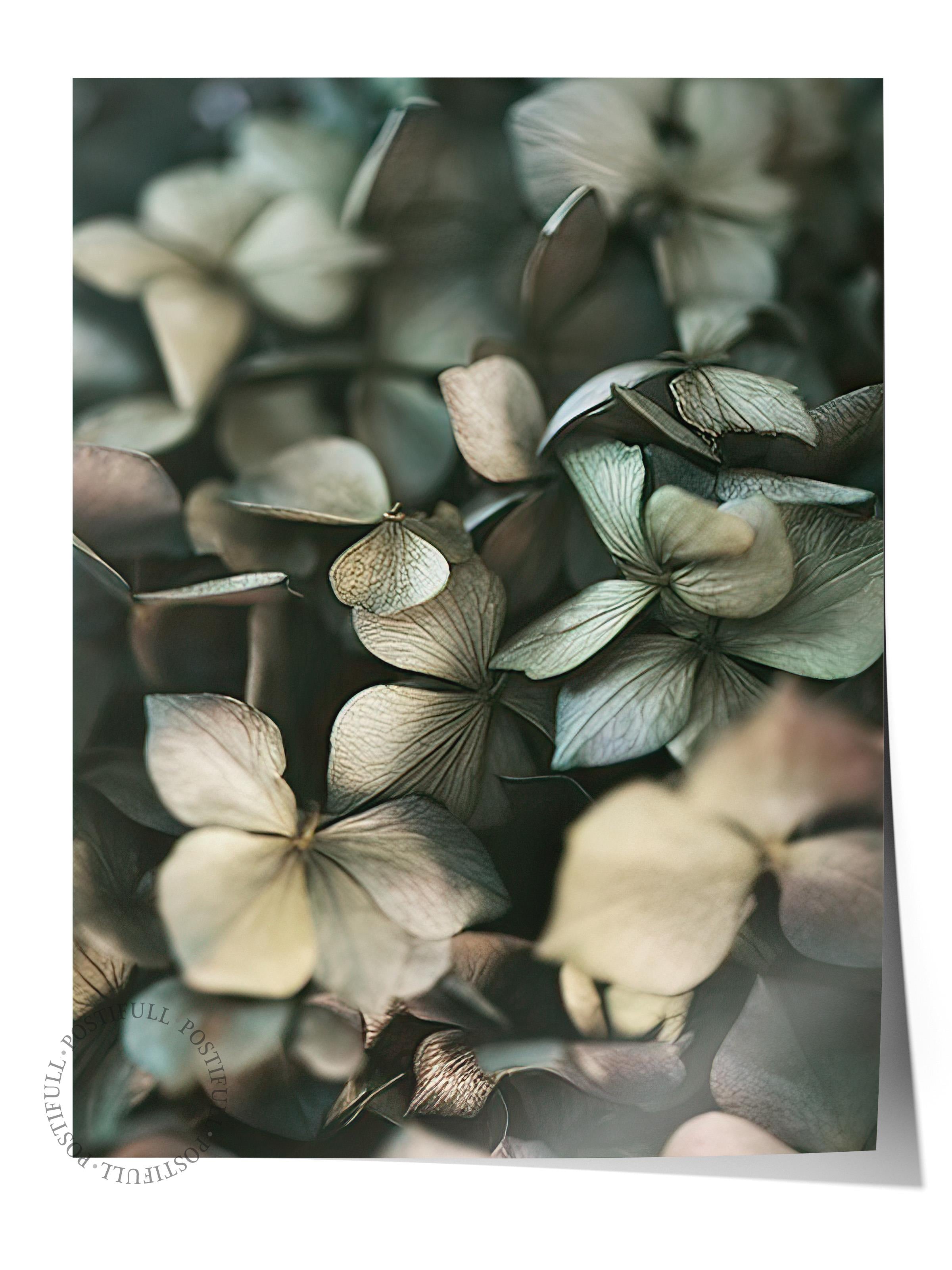 Green Hydrangea Poster, Çerçevesiz Duvar Posteri, Dikey Duvar Tablosu Comfort Serisi NO:108400