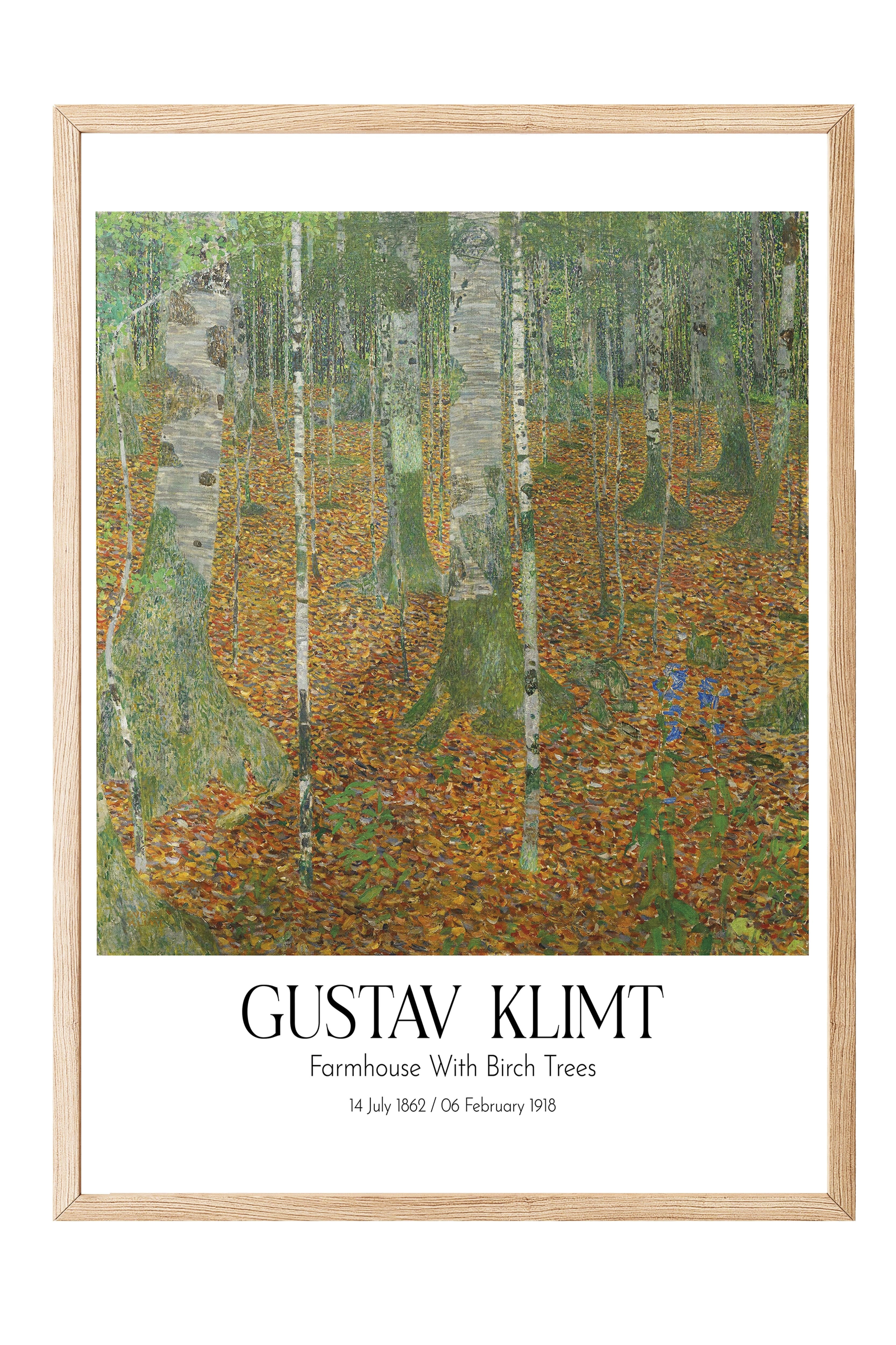 Gustav Klimt - Farmhouse With Birch Trees, Ahşap Çerçeveli Tablo, Sanat Serisi NO:111991