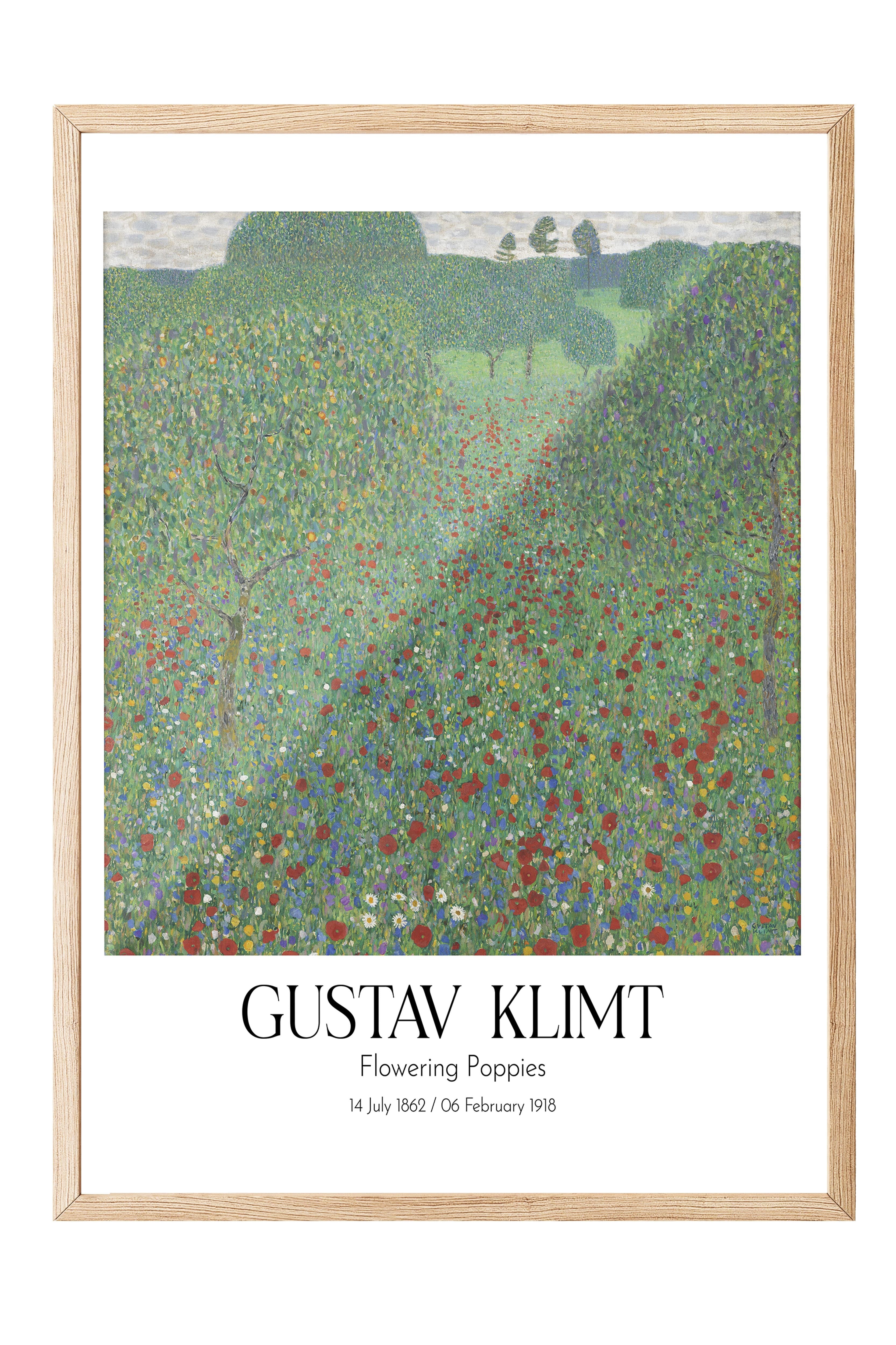 Gustav Klimt - Flowering Poppies, Ahşap Çerçeveli Tablo, Sanat Serisi NO:111972