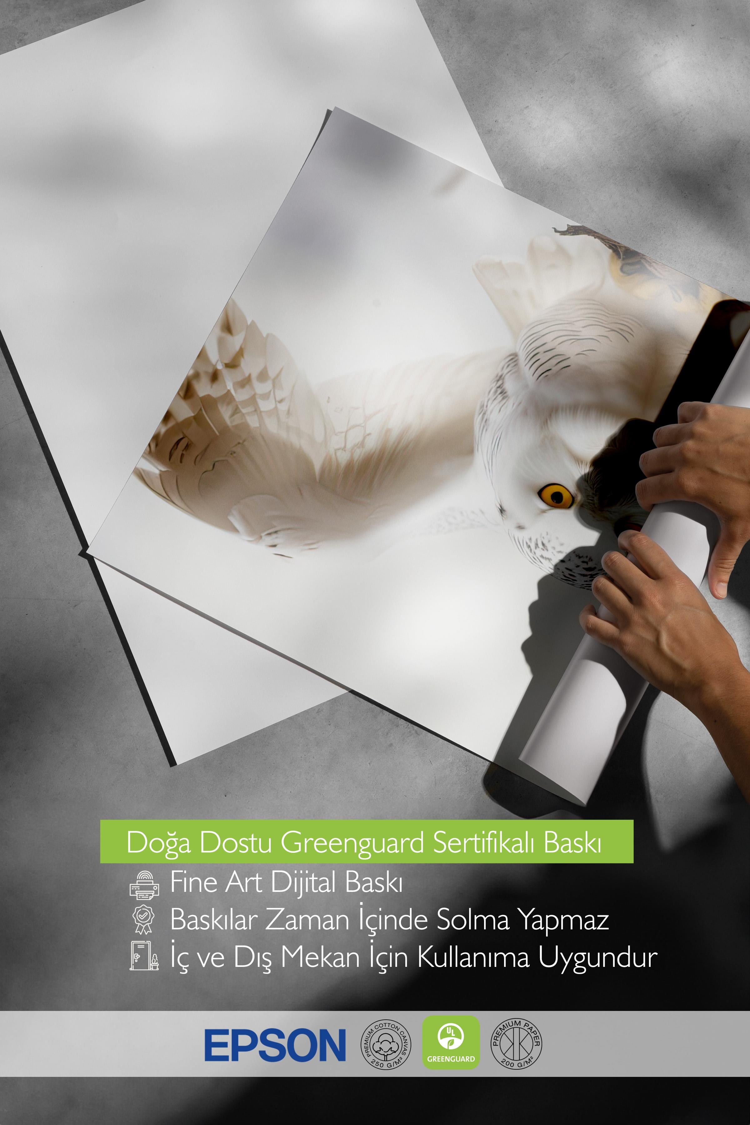 Hedwig Poster, Çerçevesiz Duvar Posteri, Yatay Duvar Tablosu Comfort Serisi NO:108288