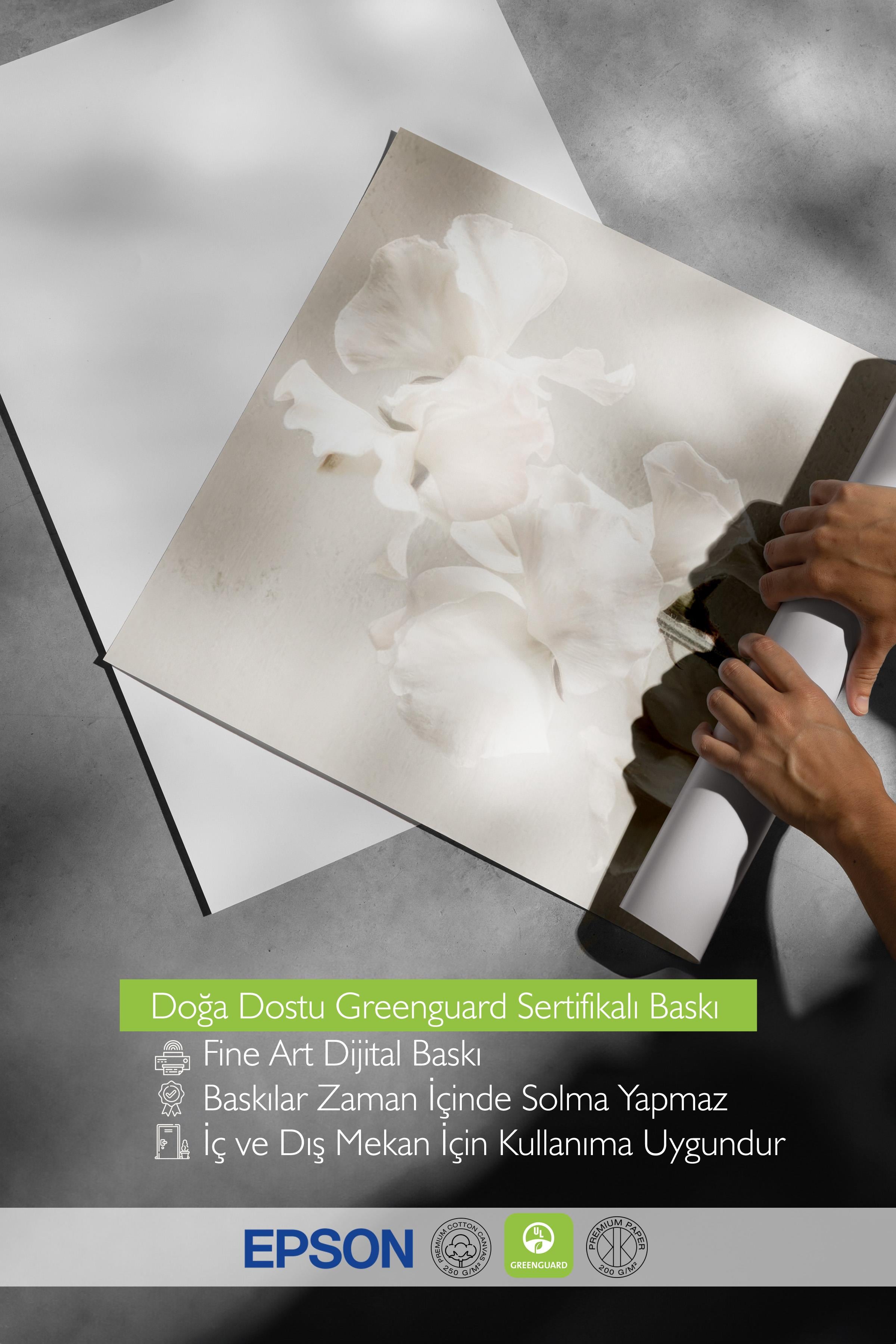 In Full Bloom Poster, Çerçevesiz Duvar Posteri, Dikey Duvar Tablosu Comfort Serisi NO:108434