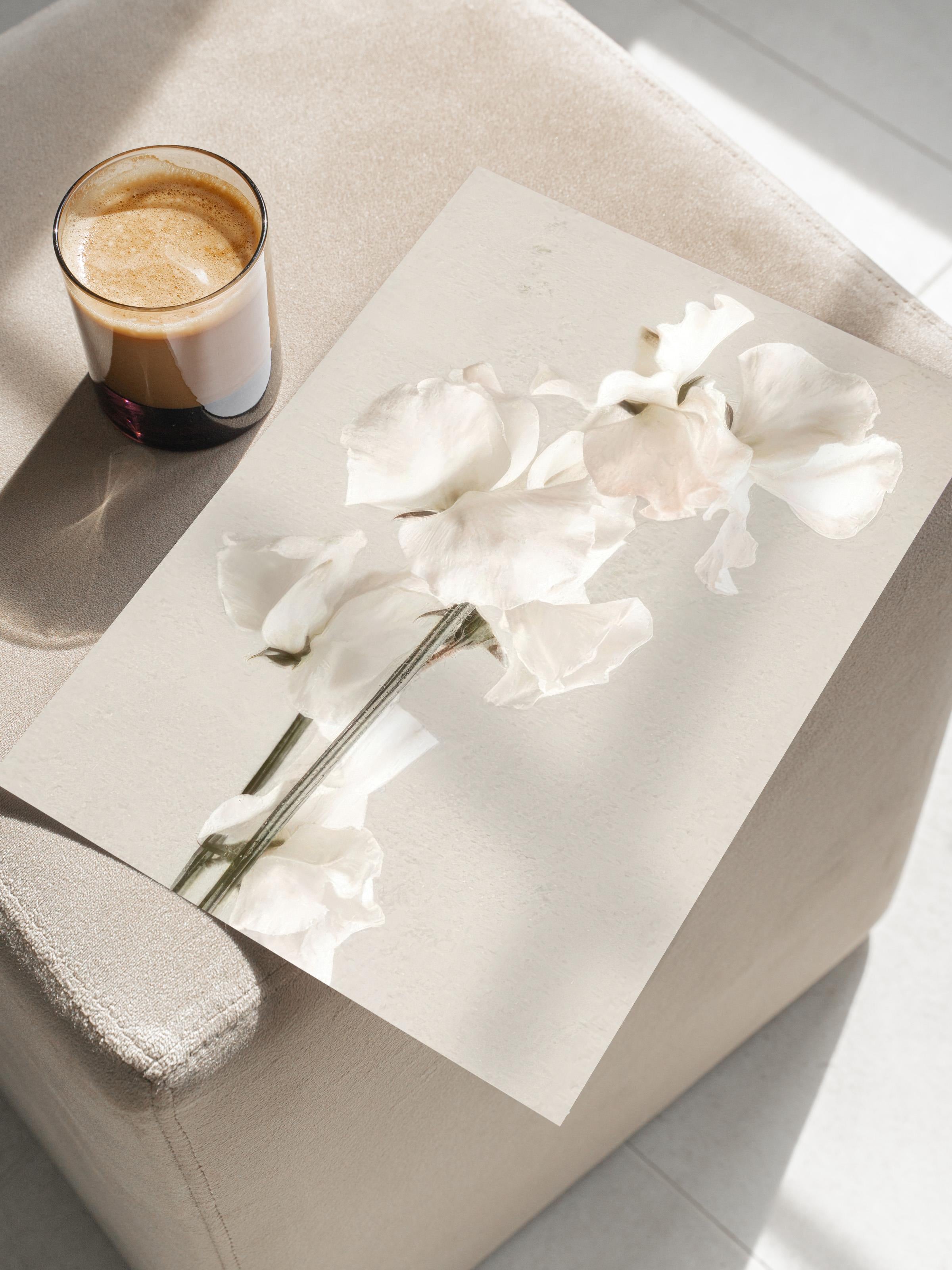 In Full Bloom Poster, Çerçevesiz Duvar Posteri, Dikey Duvar Tablosu Comfort Serisi NO:108434