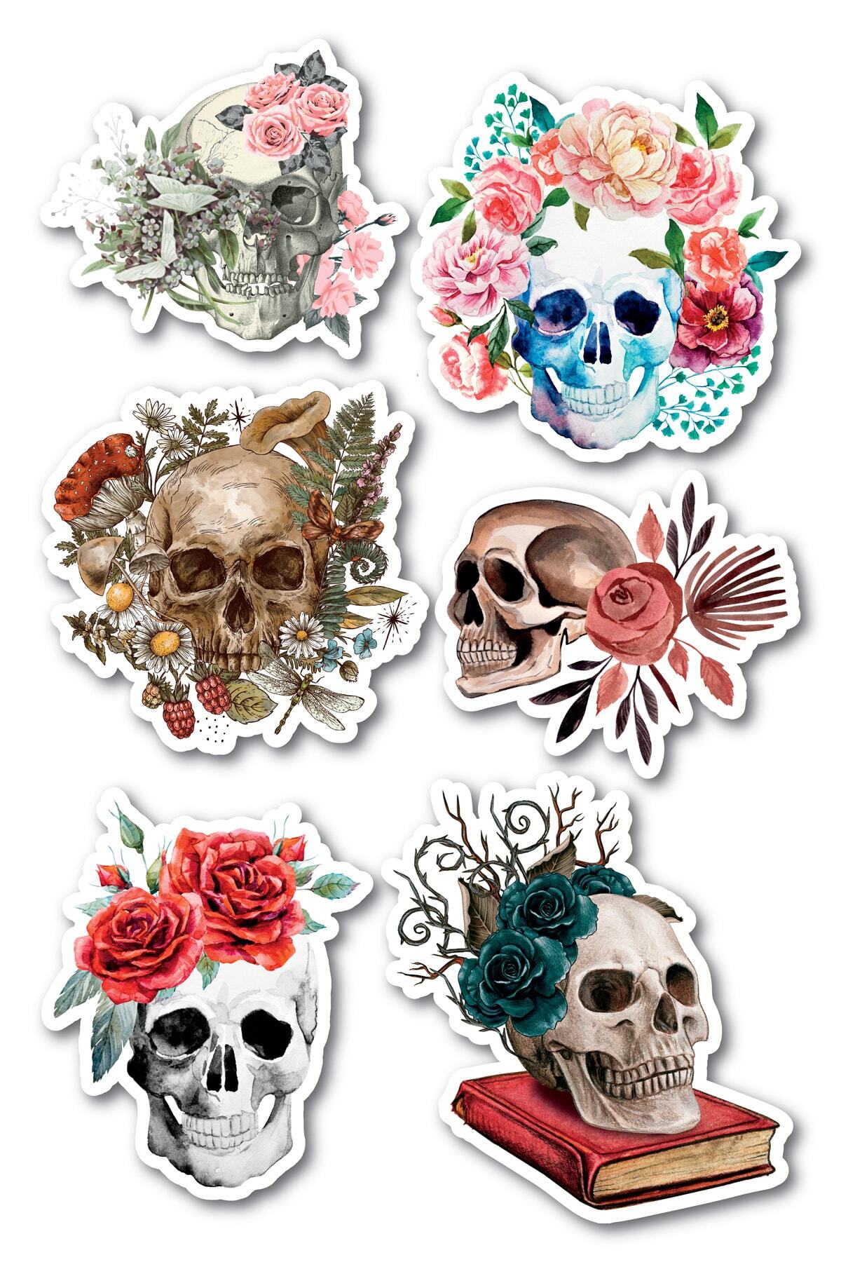 Kuru Kafa Temalı Sticker Seti - 6 Adet Etiket Seti- Telefon, Tablet, Defter Laptop Uyumlu Etiket