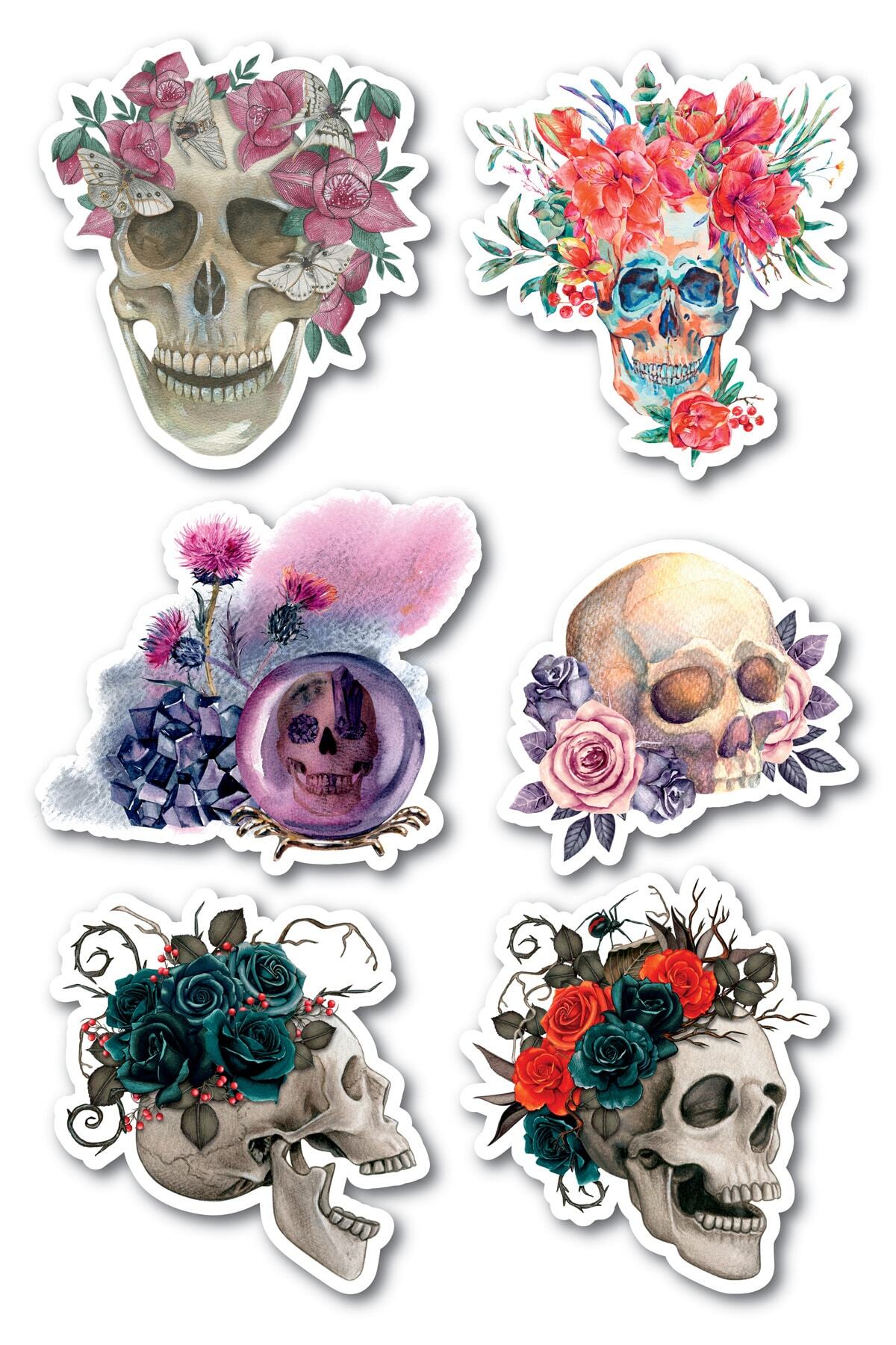 Kuru Kafa Temalı Sticker Seti - 6 Adet Etiket Seti- Telefon, Tablet, Defter Laptop Uyumlu Etiket