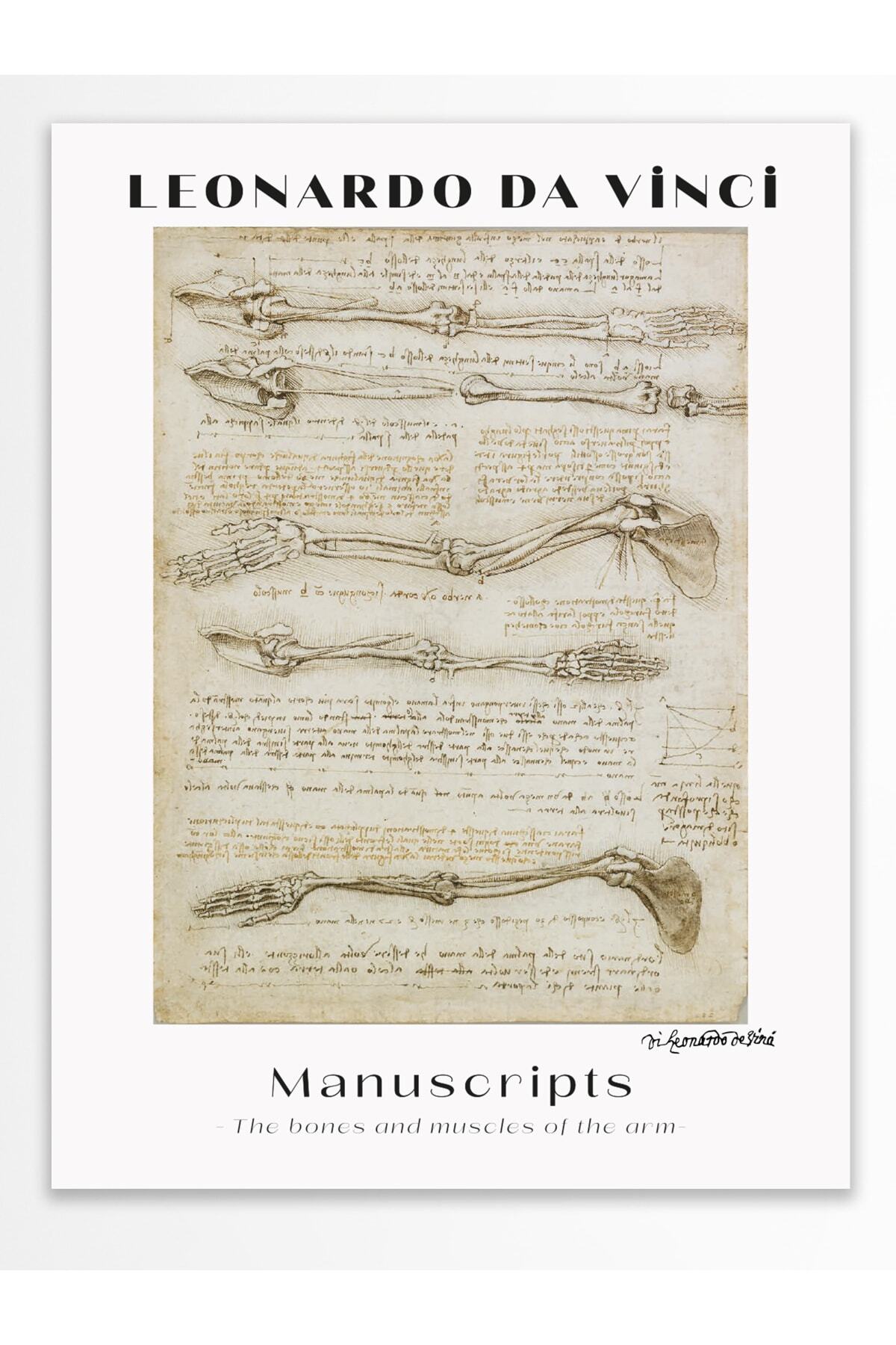 Leonardo Da Vinci Duvar Posteri - Duvar Dekoru - Sanat Serisi Posterleri - Kalın Kağıt - Çerçevesiz