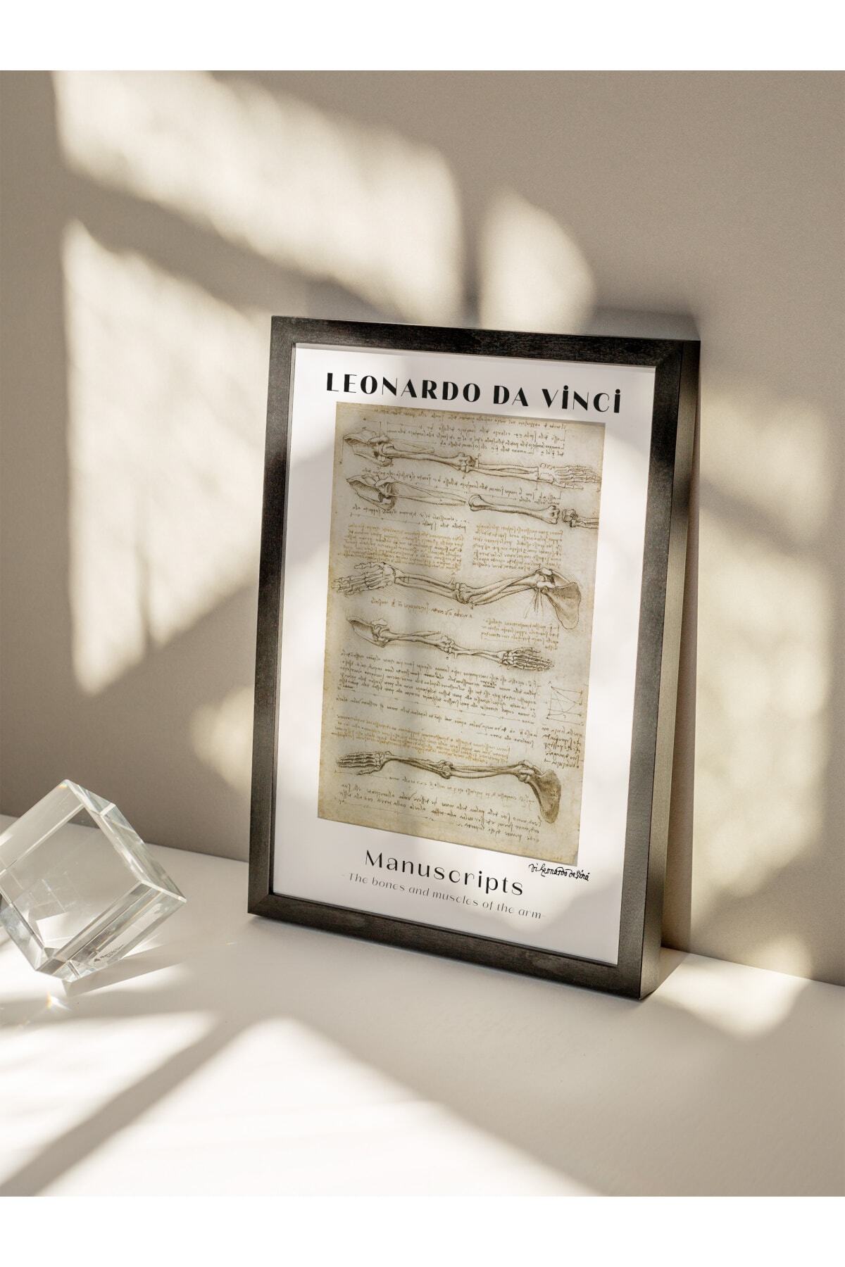 Leonardo Da Vinci Duvar Posteri - Duvar Dekoru - Sanat Serisi Posterleri - Kalın Kağıt - Çerçevesiz