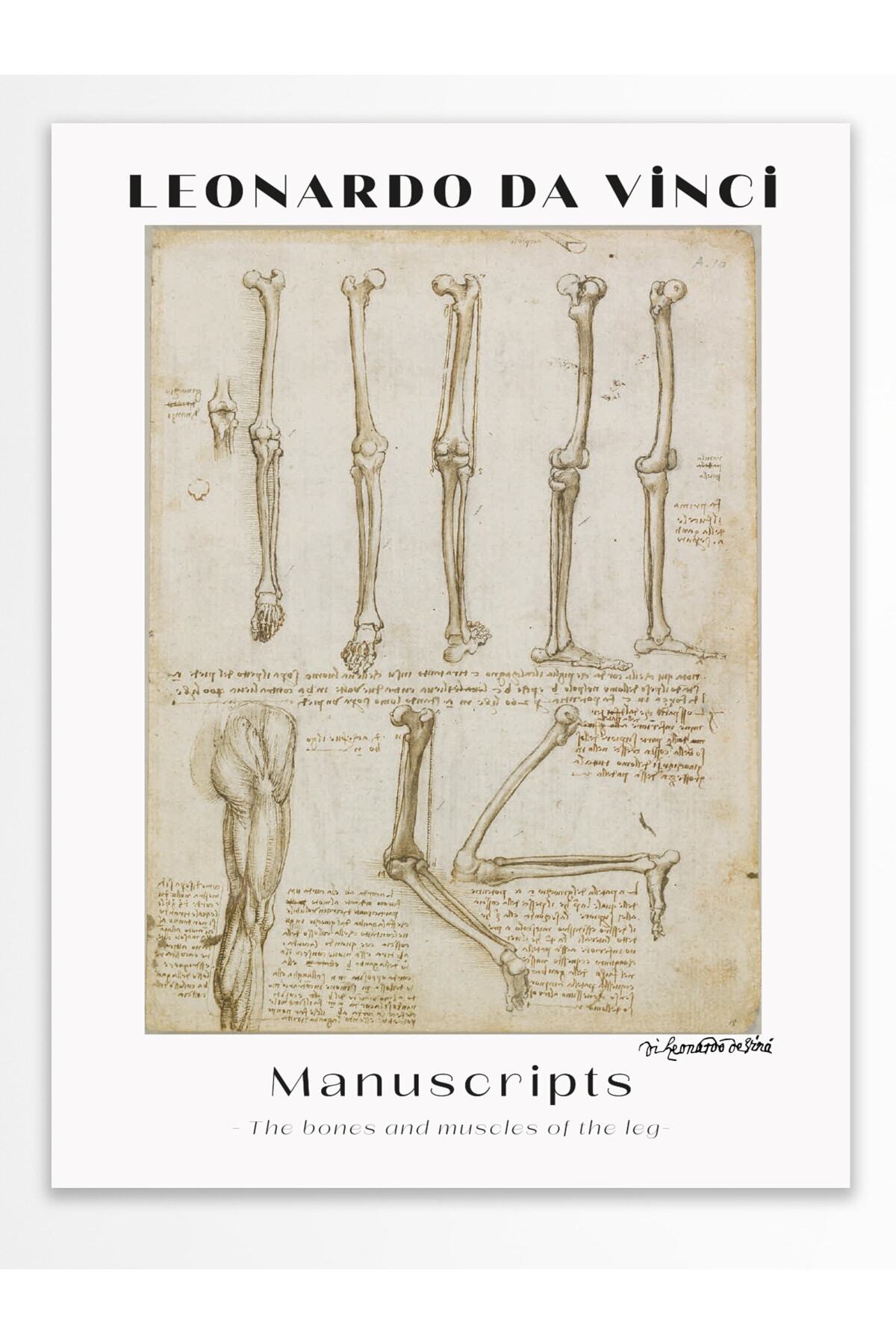 Leonardo Da Vinci Duvar Posteri - Duvar Dekoru - Sanat Serisi Posterleri - Kalın Kağıt - Çerçevesiz