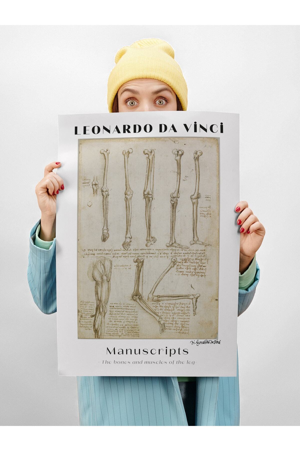 Leonardo Da Vinci Duvar Posteri - Duvar Dekoru - Sanat Serisi Posterleri - Kalın Kağıt - Çerçevesiz