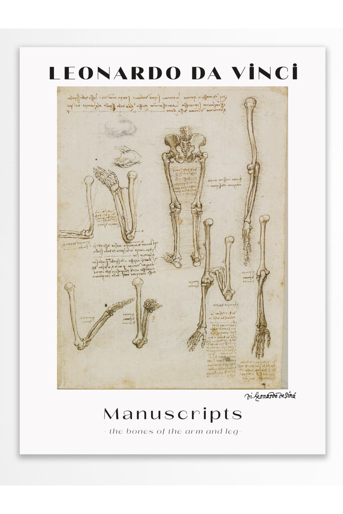 Leonardo Da Vinci Duvar Posteri - Duvar Dekoru - Sanat Serisi Posterleri - Kalın Kağıt - Çerçevesiz