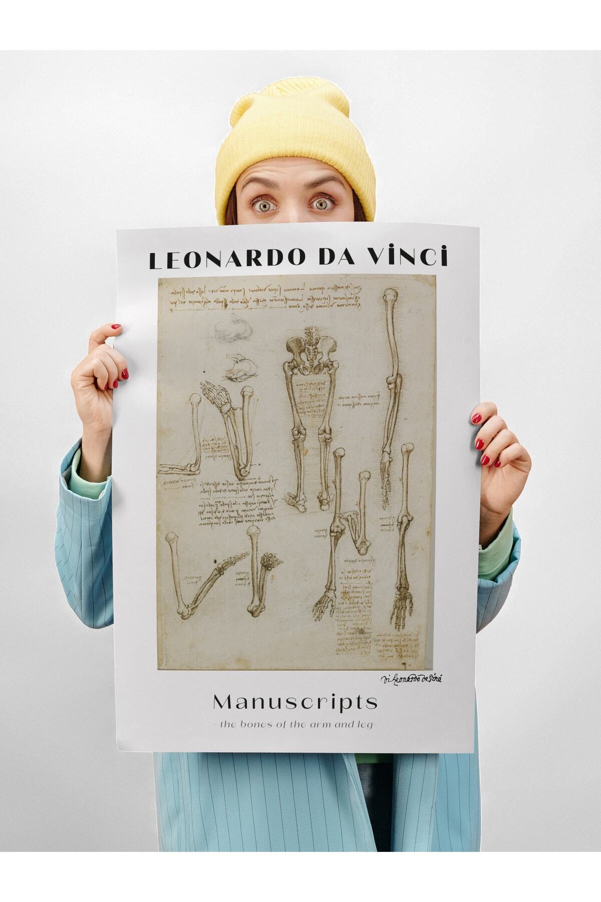 Leonardo Da Vinci Duvar Posteri - Duvar Dekoru - Sanat Serisi Posterleri - Kalın Kağıt - Çerçevesiz