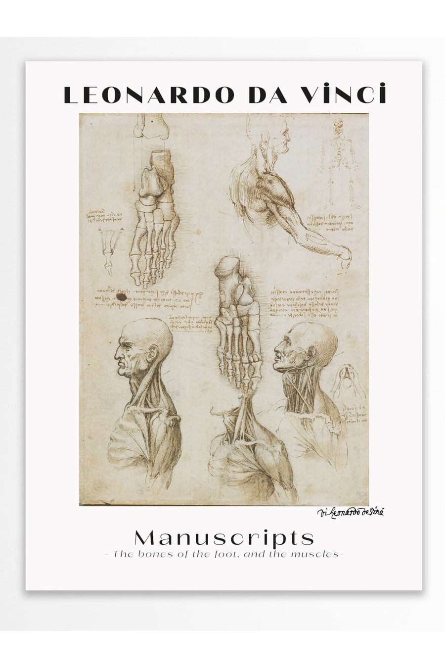 Manuscripts - The bones of the foot, and the muscles - Modern Sanat Çerçevesiz Poster