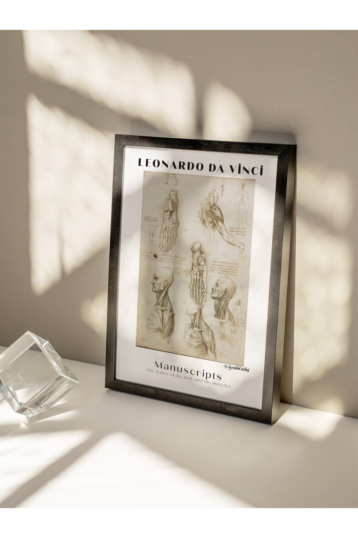 Leonardo Da Vinci Duvar Posteri - Duvar Dekoru - Sanat Serisi Posterleri - Kalın Kağıt - Çerçevesiz