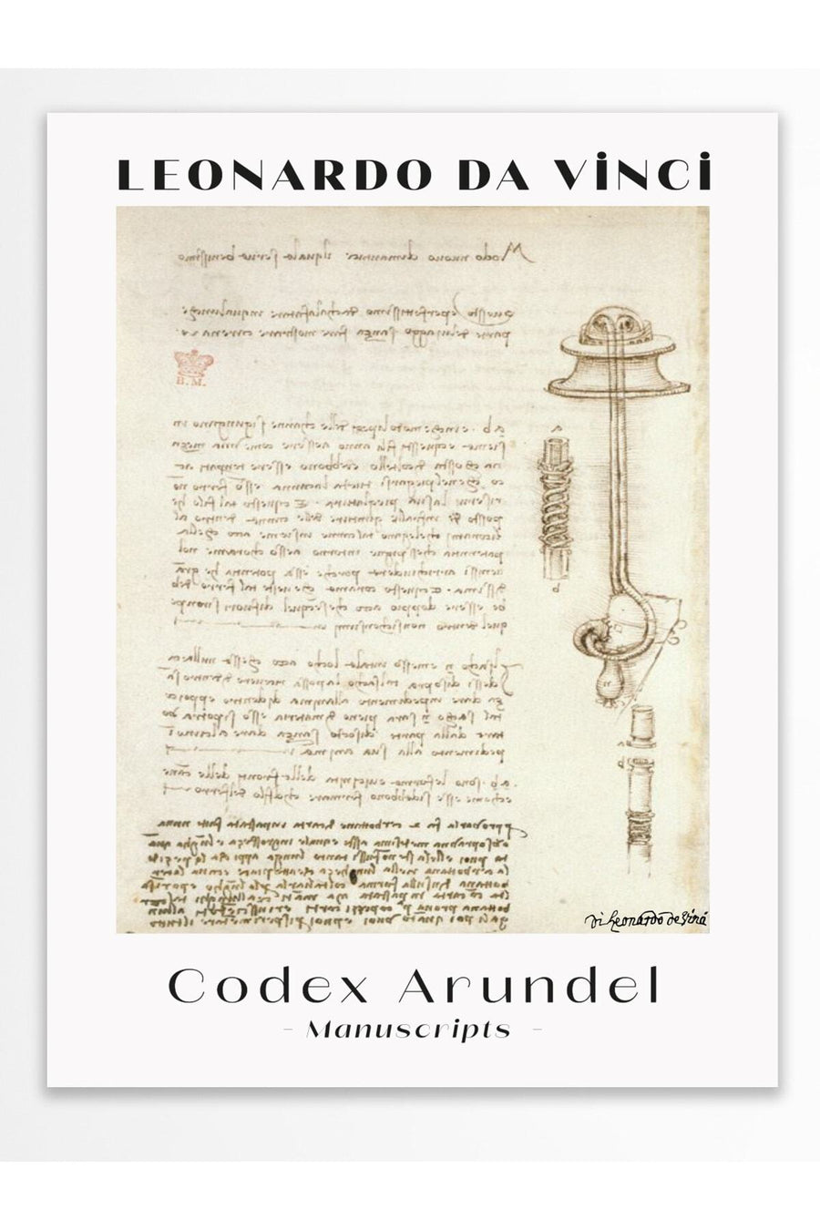 Farklı Tonlarda LEONARDO DA VINCI Modern Sanat Çerçevesiz Poster