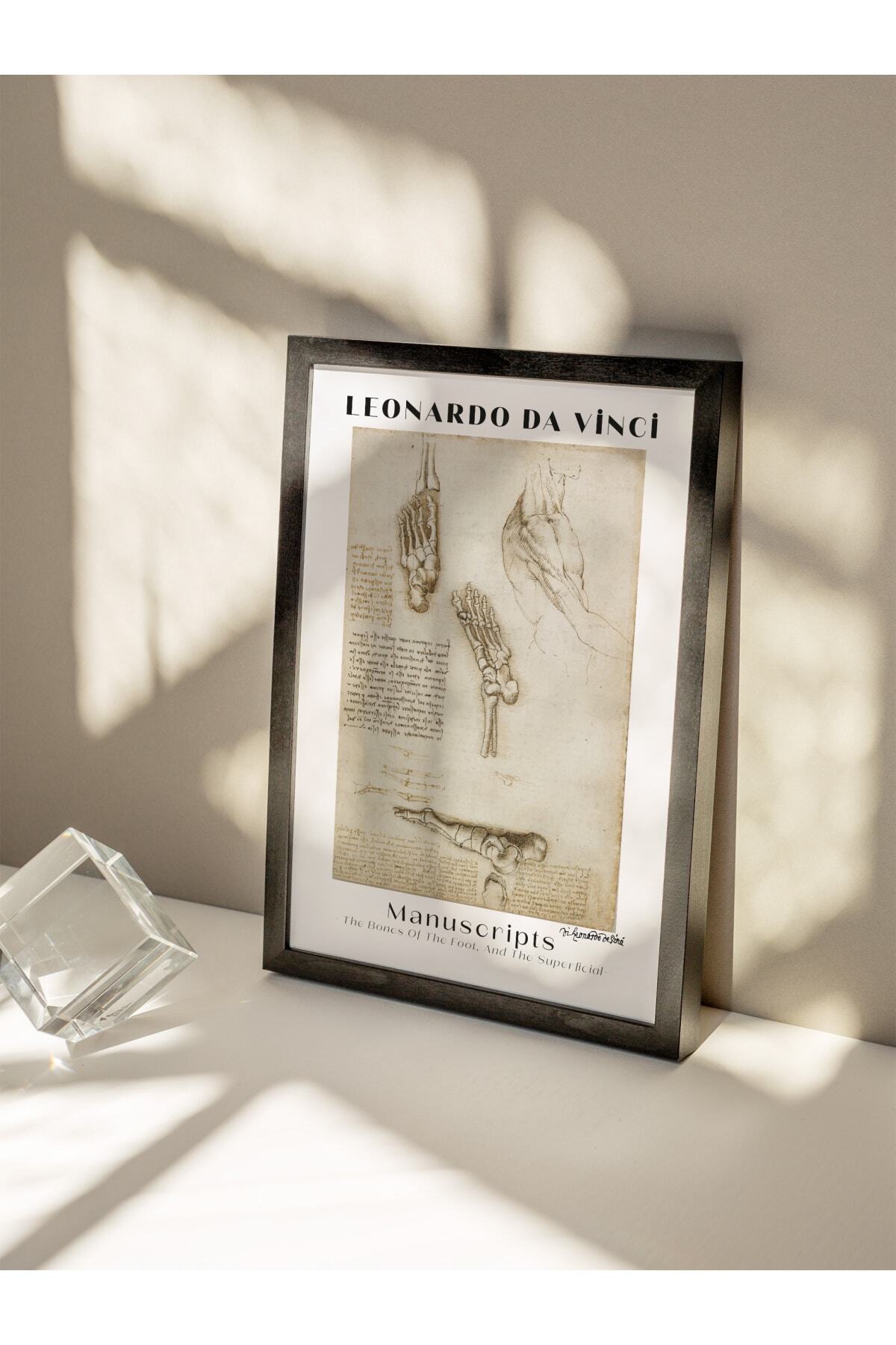 Leonardo Da Vinci Duvar Posteri - Duvar Dekoru - Sanat Serisi Posterleri - Kalın Kağıt - Çerçevesiz