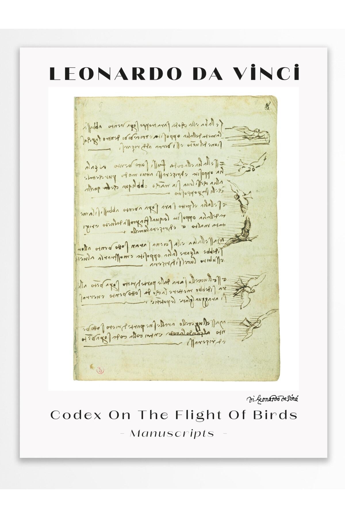 Leonardo Da Vinci Duvar Posteri - Duvar Dekoru - Sanat Serisi Posterleri - Kalın Kağıt - Çerçevesiz