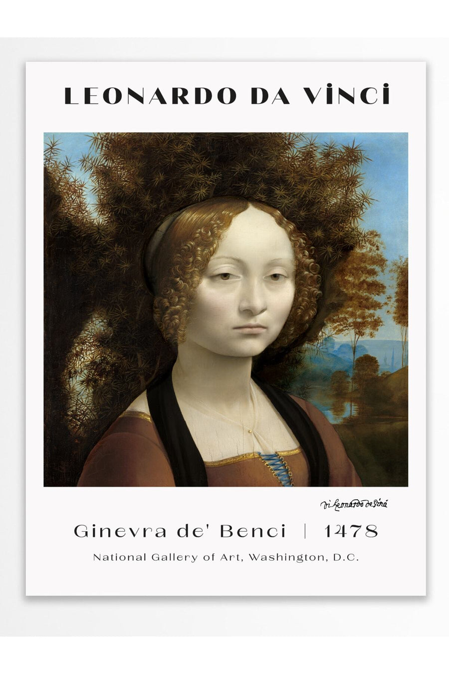 Farklı Tonlarda LEONARDO DA VINCI Modern Sanat Çerçevesiz Poster