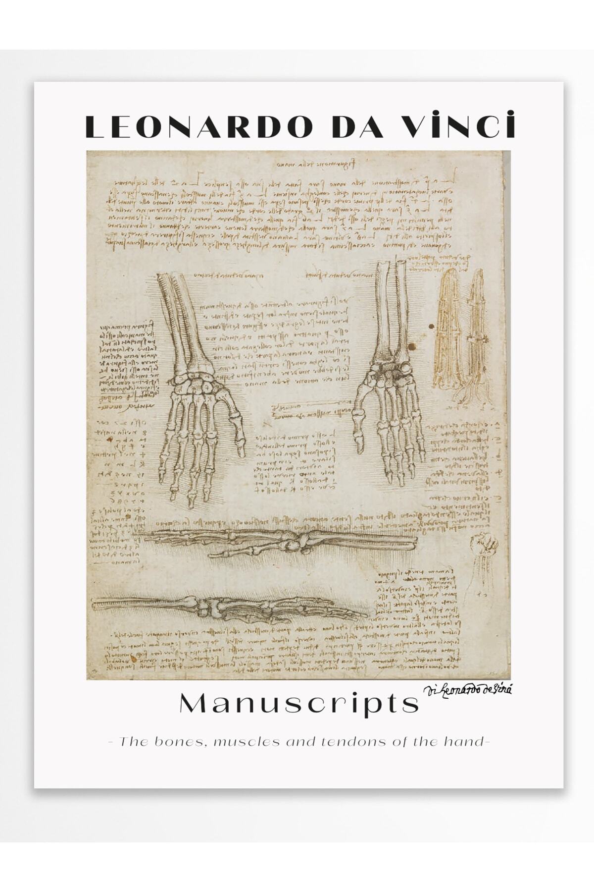 Leonardo Da Vinci Duvar Posteri - Duvar Dekoru - Sanat Serisi Posterleri - Kalın Kağıt - Çerçevesiz