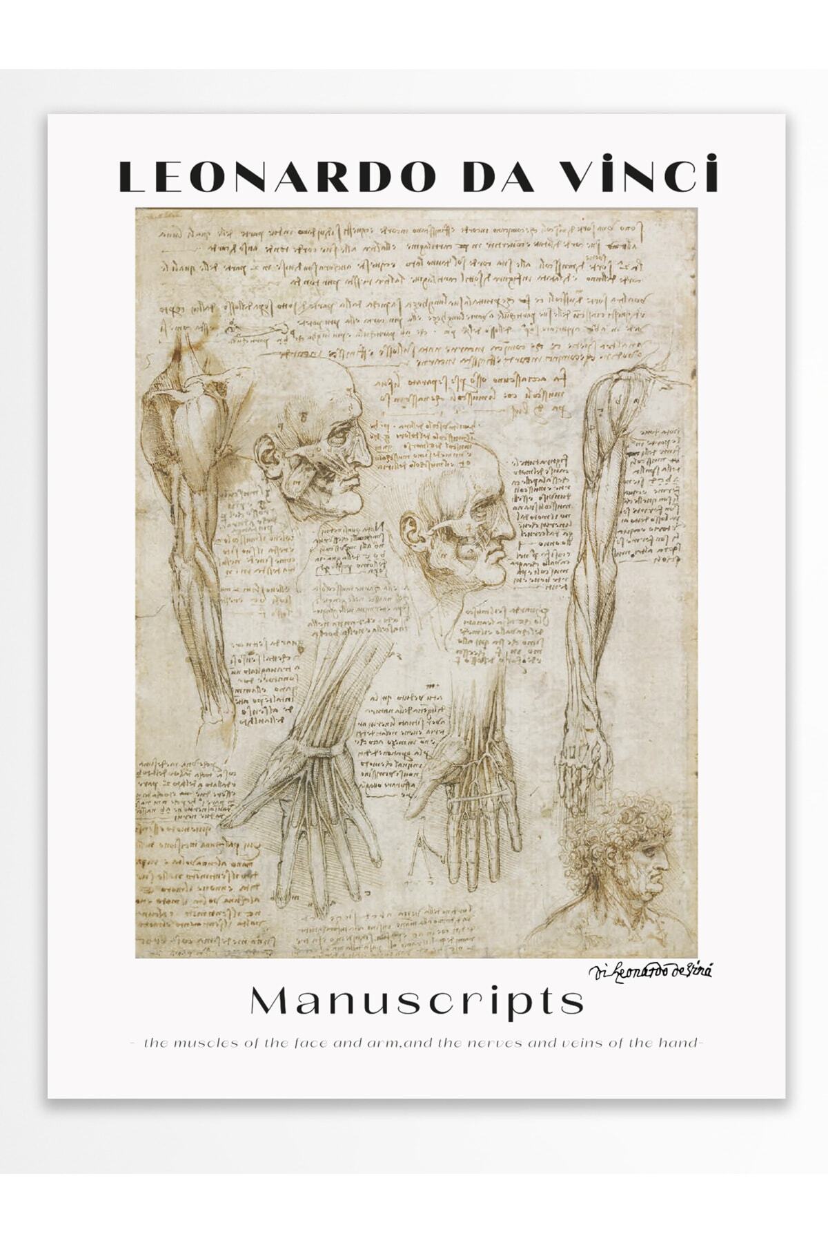 Leonardo Da Vinci Duvar Posteri - Duvar Dekoru - Sanat Serisi Posterleri - Kalın Kağıt - Çerçevesiz