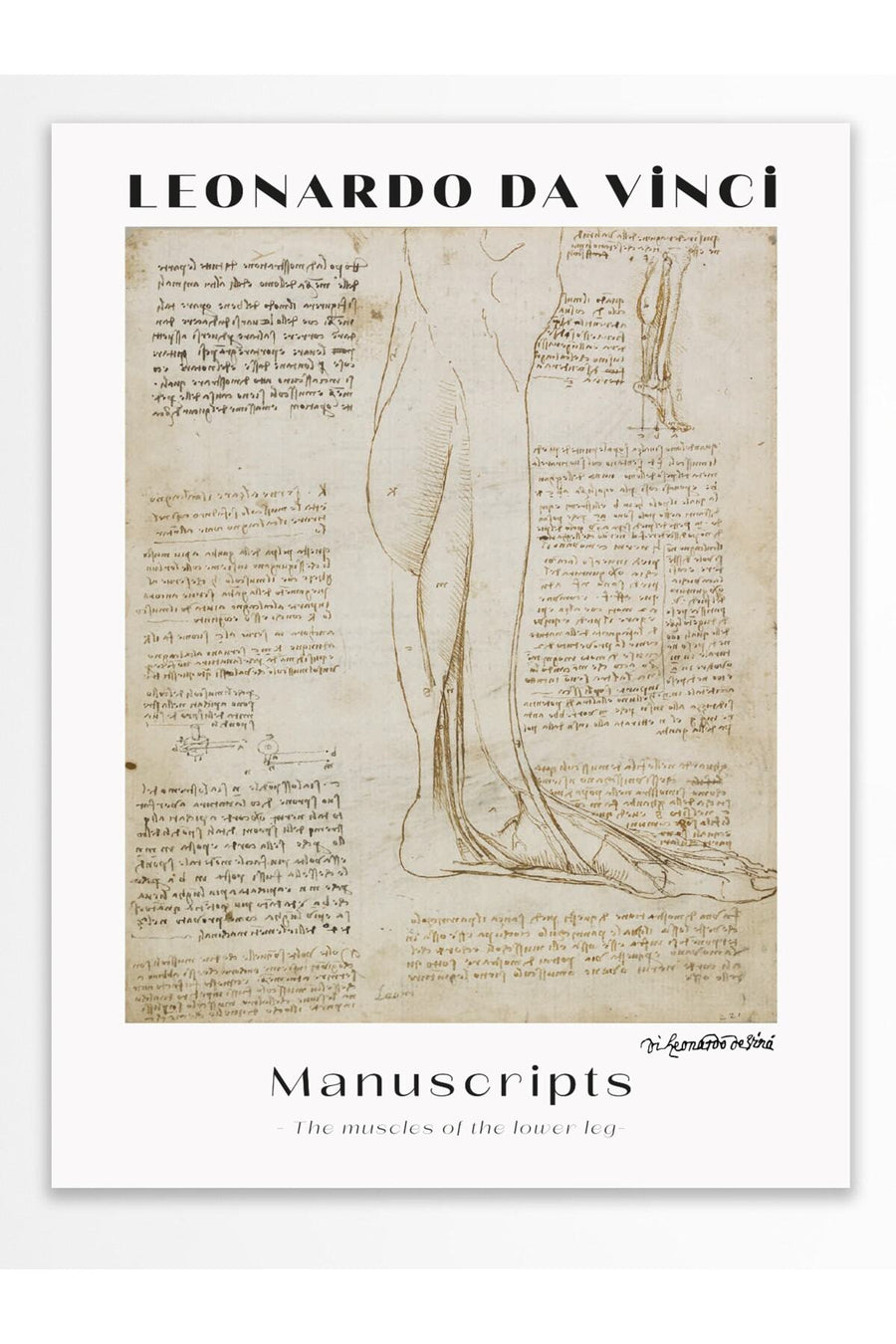 Farklı Tonlarda LEONARDO DA VINCI Modern Sanat Çerçevesiz Poster