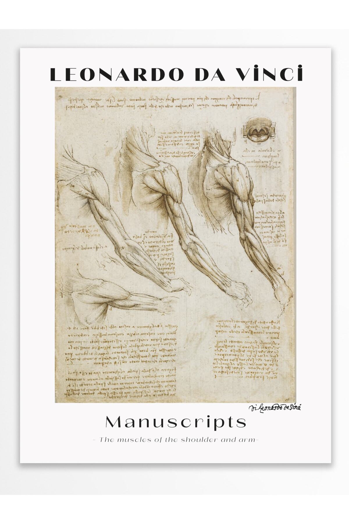 Leonardo Da Vinci Duvar Posteri - Duvar Dekoru - Sanat Serisi Posterleri - Kalın Kağıt - Çerçevesiz